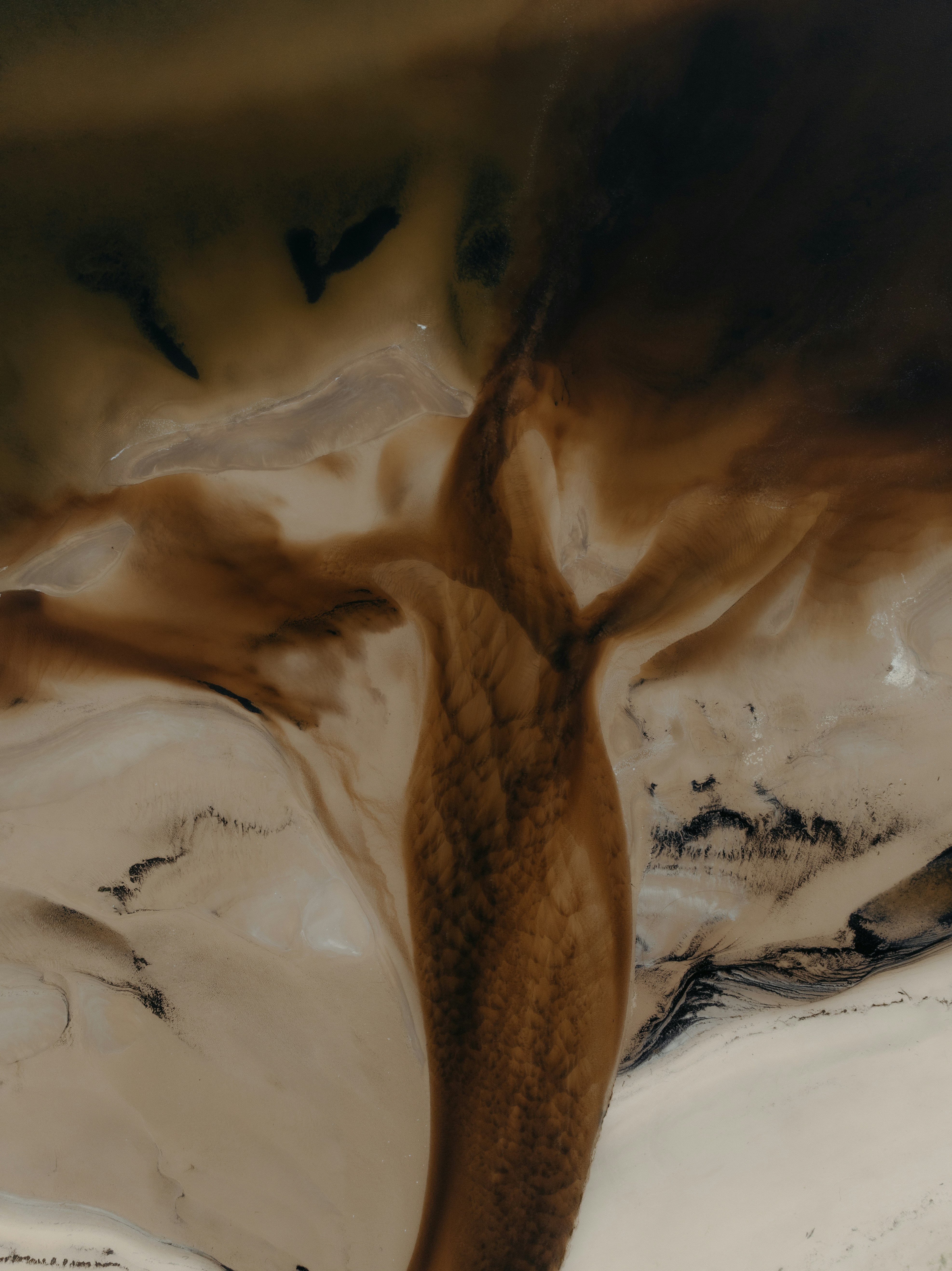 An aerial view of dark water channels flowing through light sandy tidal flats - 相关推荐