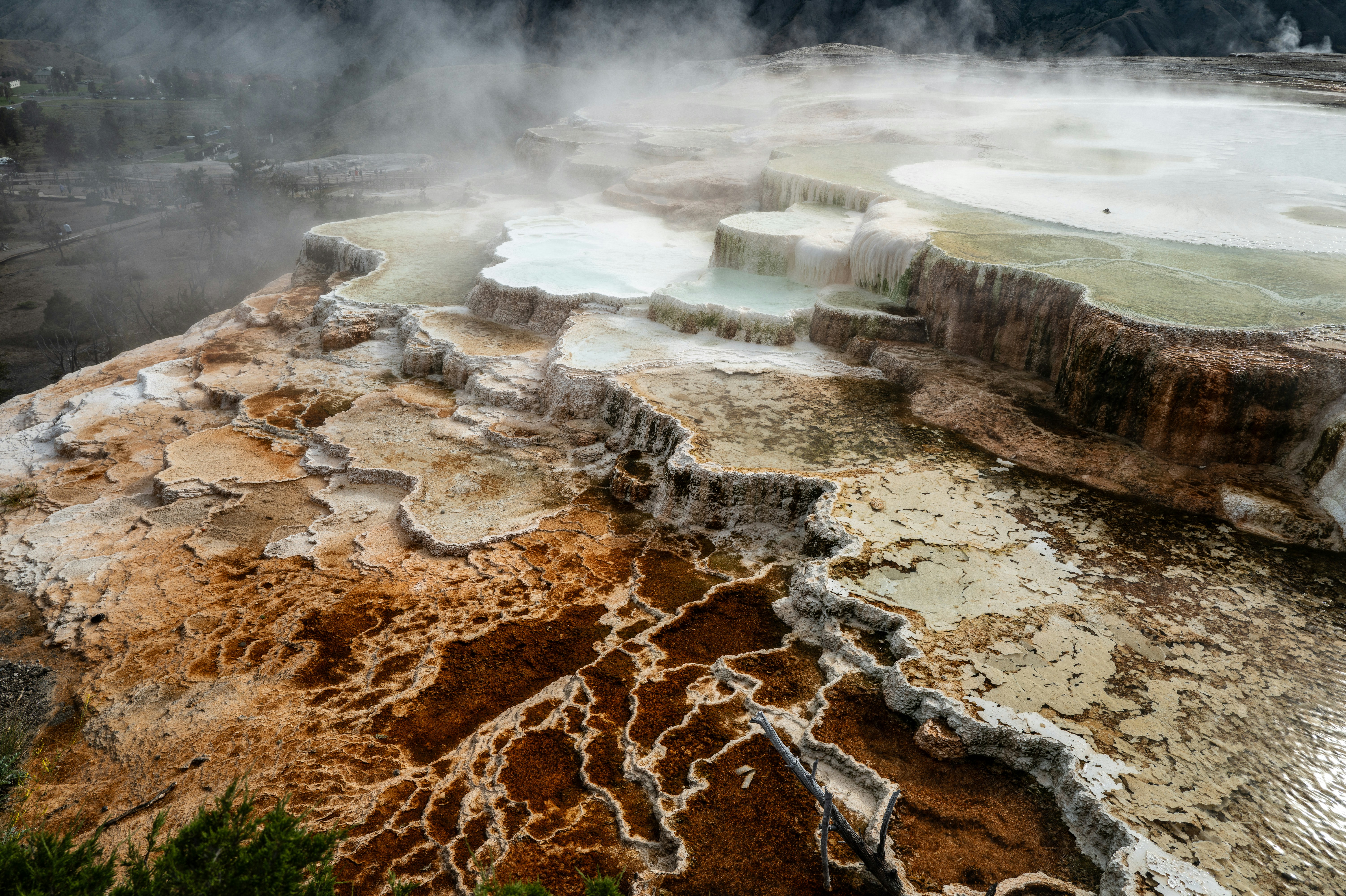 Terrazas de travertino en Mammoth Hot Springs - Foto gratuita en Unsplash