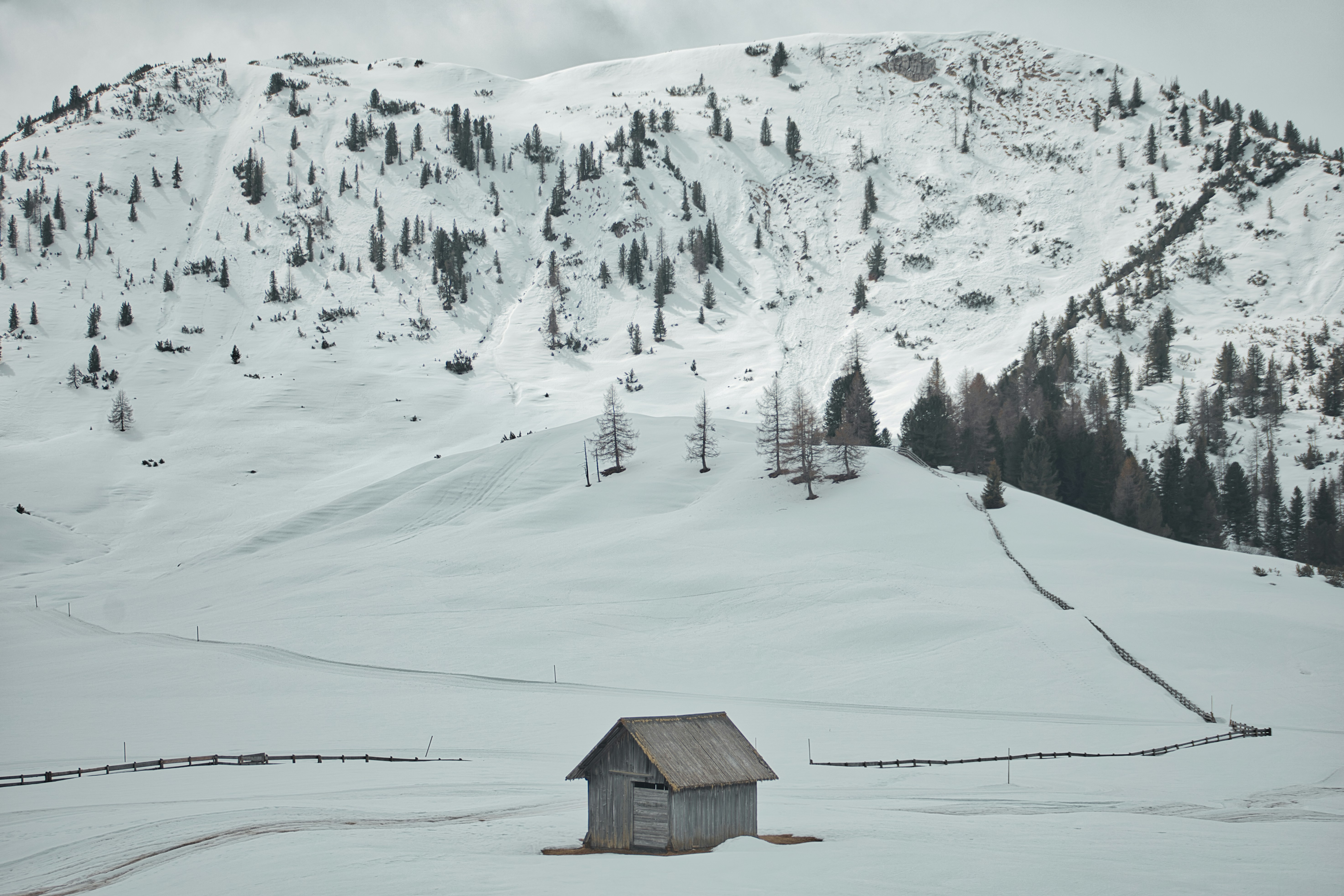 David Redo (@papeone) | Komunitas Foto Unsplash