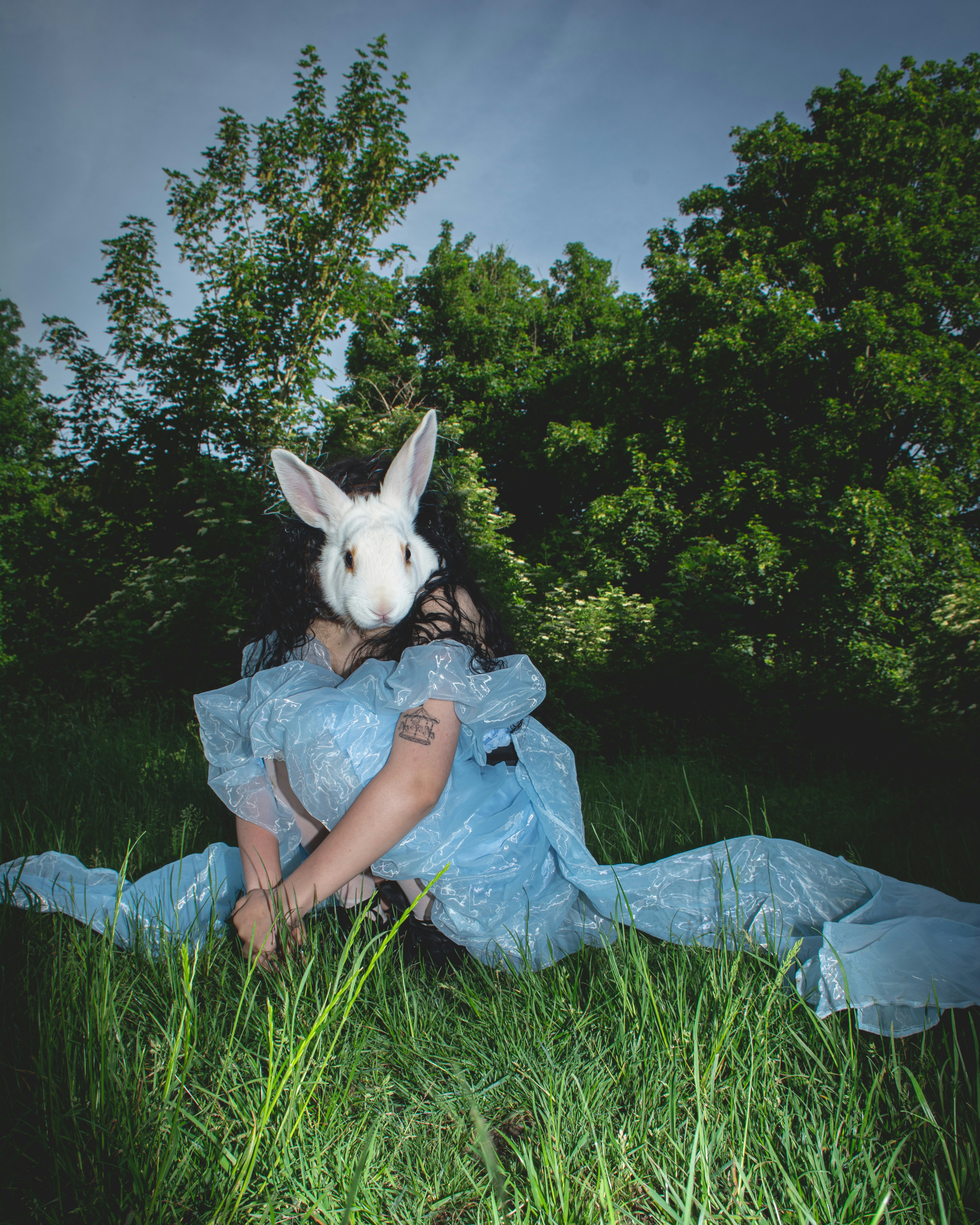 Person in rabbit mask and dress - Free Photo on Unsplash