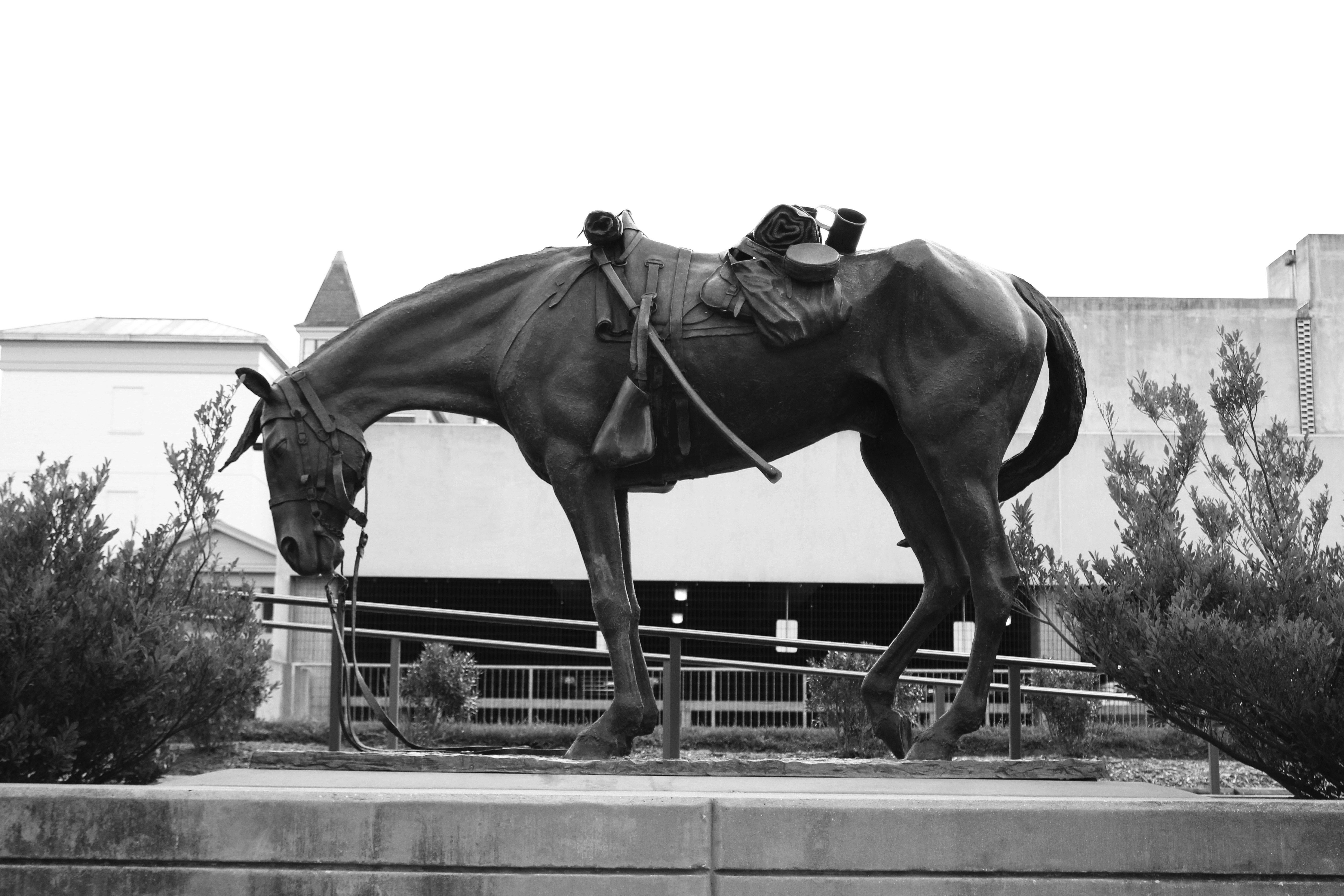 Simona Brinson (@brinsonsimona) | Unsplash 사진 커뮤니티