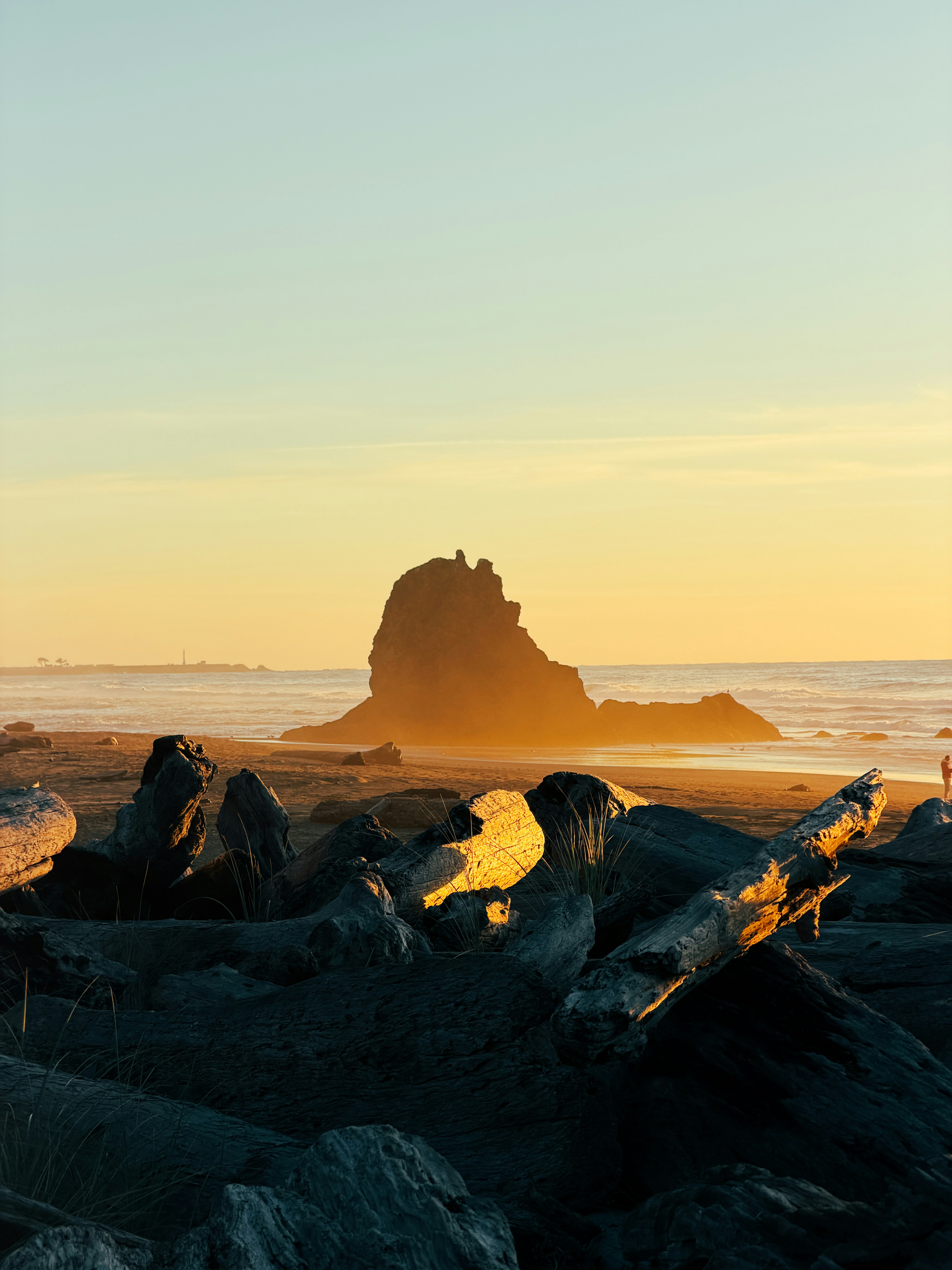Large driftwood logs on a sandy beach with a sea stack in the warm golden hour light - 相关推荐