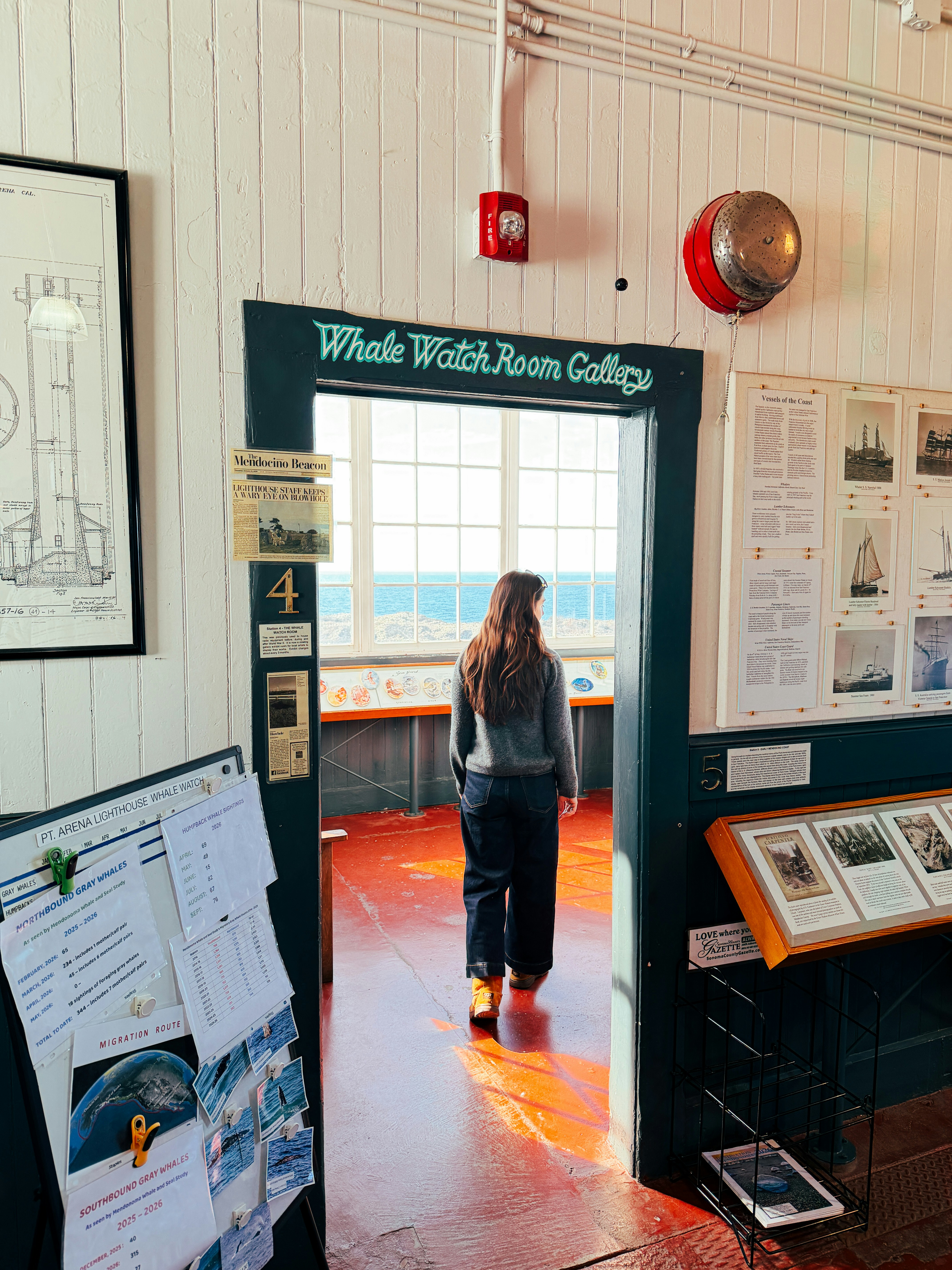 Person walking into whale watch gallery - Free Photo on Unsplash