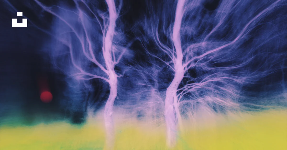Two Tree Branch Logo Glowing purple trees in yellow field - Free Photo on Unsplash