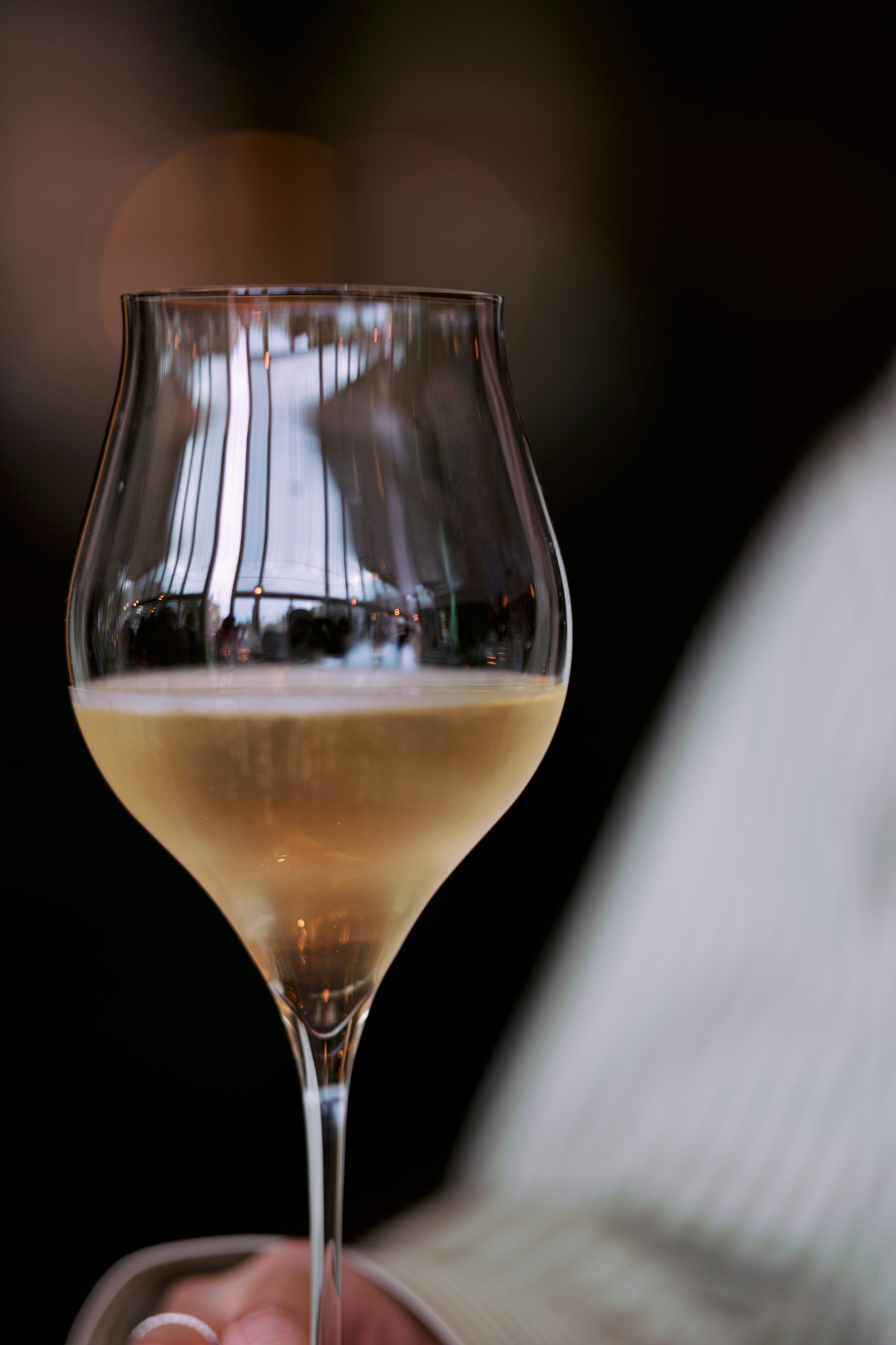 Glass of white wine in hand - Free Photo on Unsplash