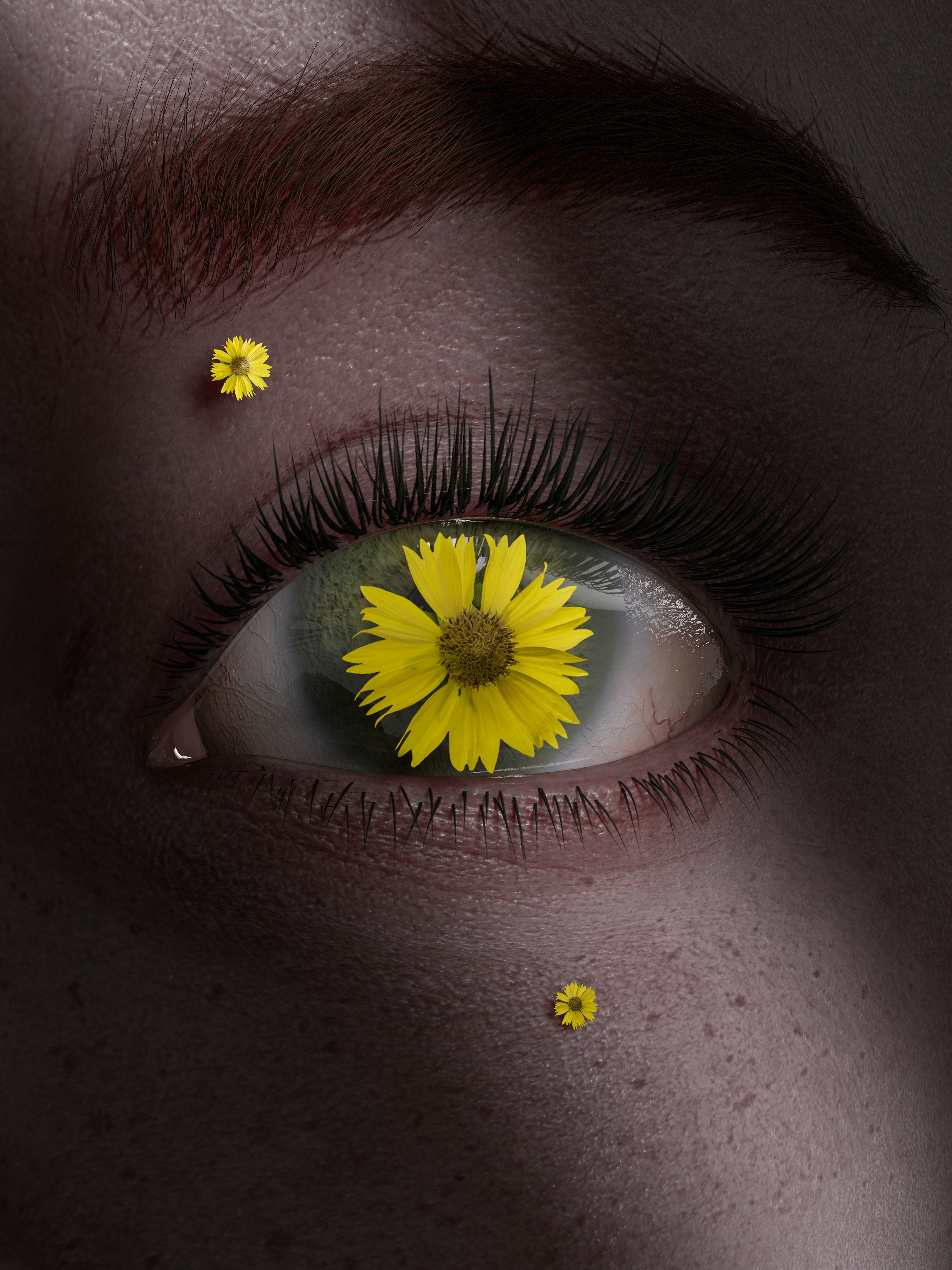 Human eye with yellow flower reflection - Free Photo on Unsplash