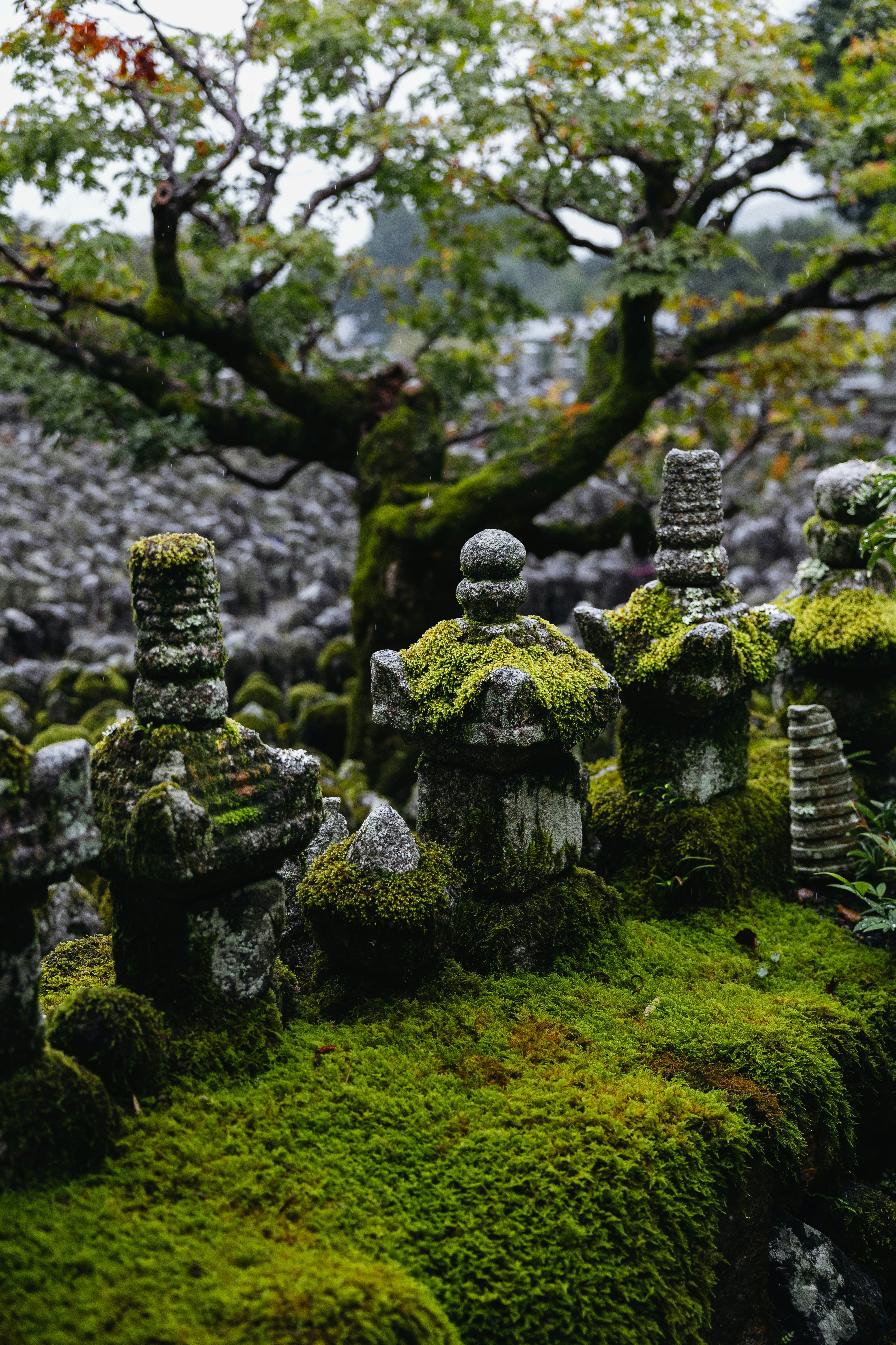 Mossy stone stupas in cemetery - Free Photo on Unsplash