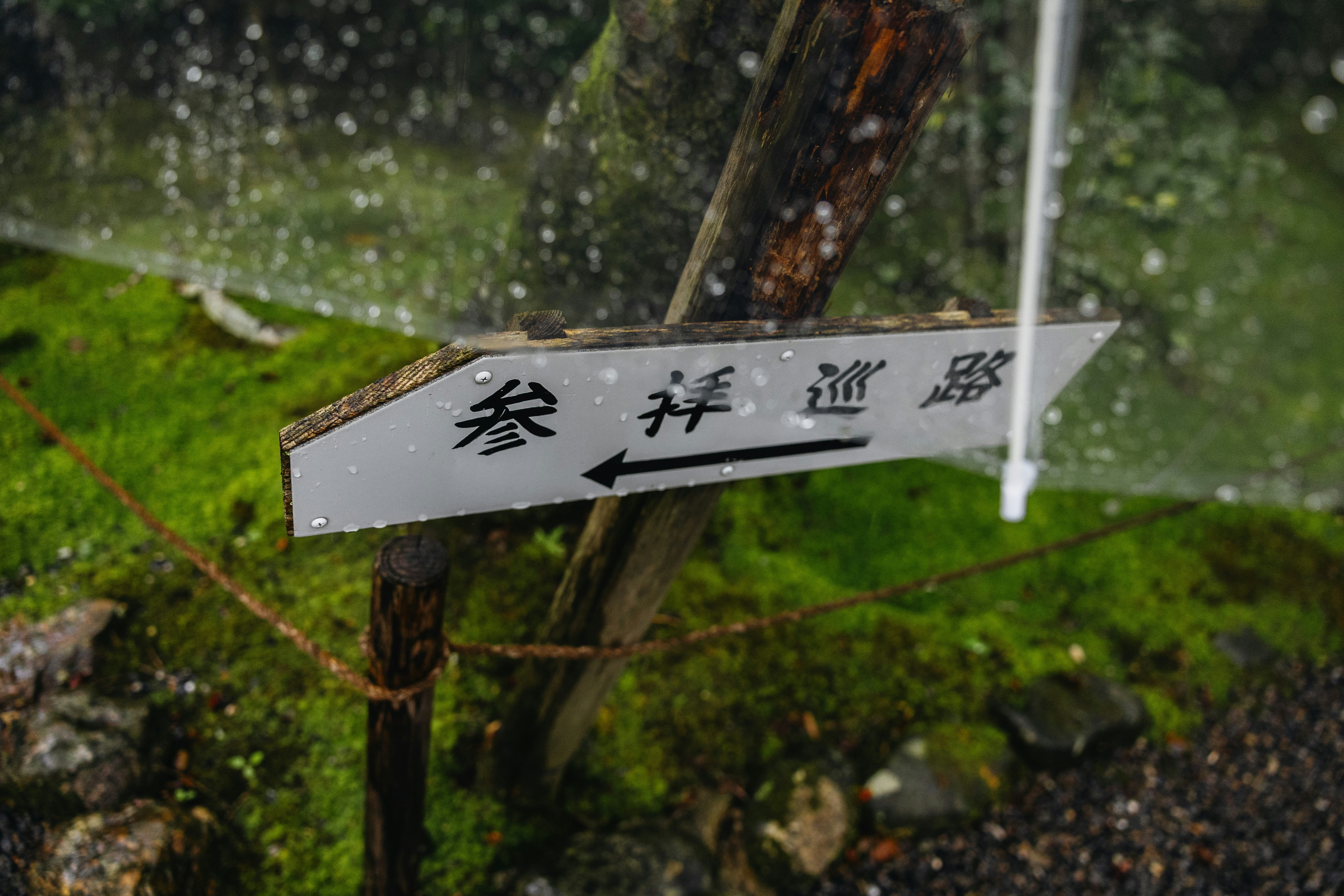 Directional sign in rainy mossy garden - Free Photo on Unsplash
