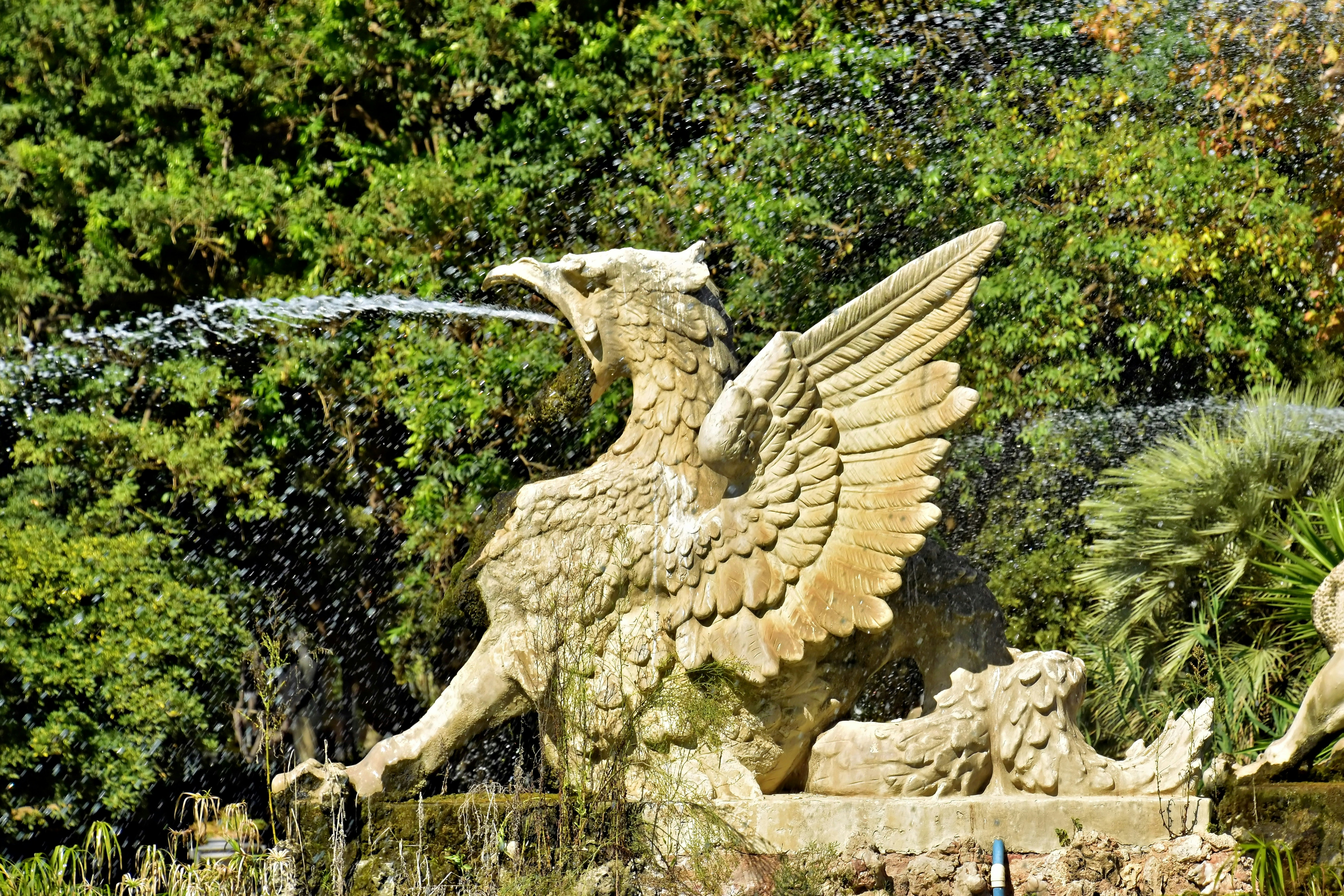 Stone griffin fountain in garden - Free Photo on Unsplash