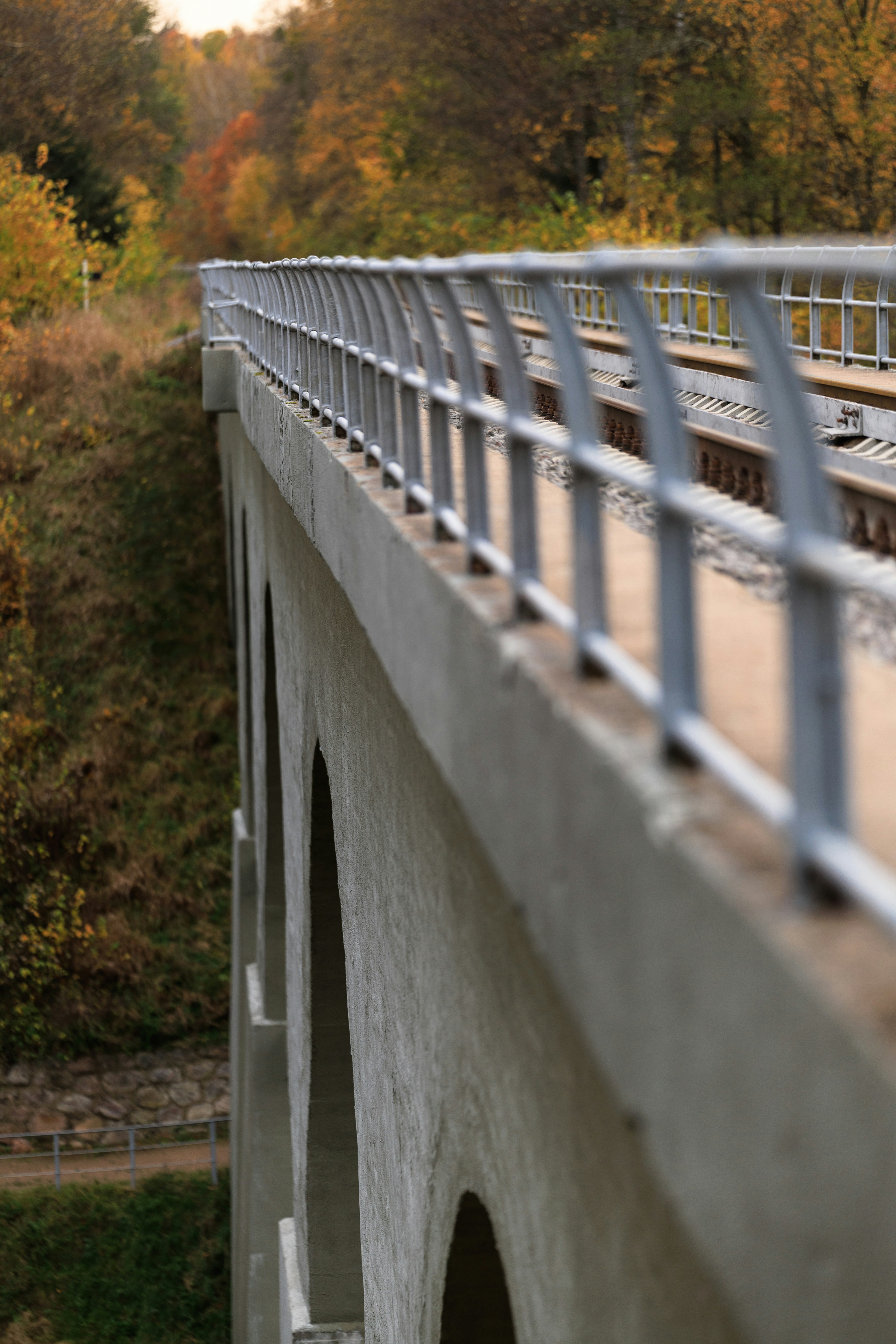 Concrete railway viaduct in autumn forest - Free Photo on Unsplash