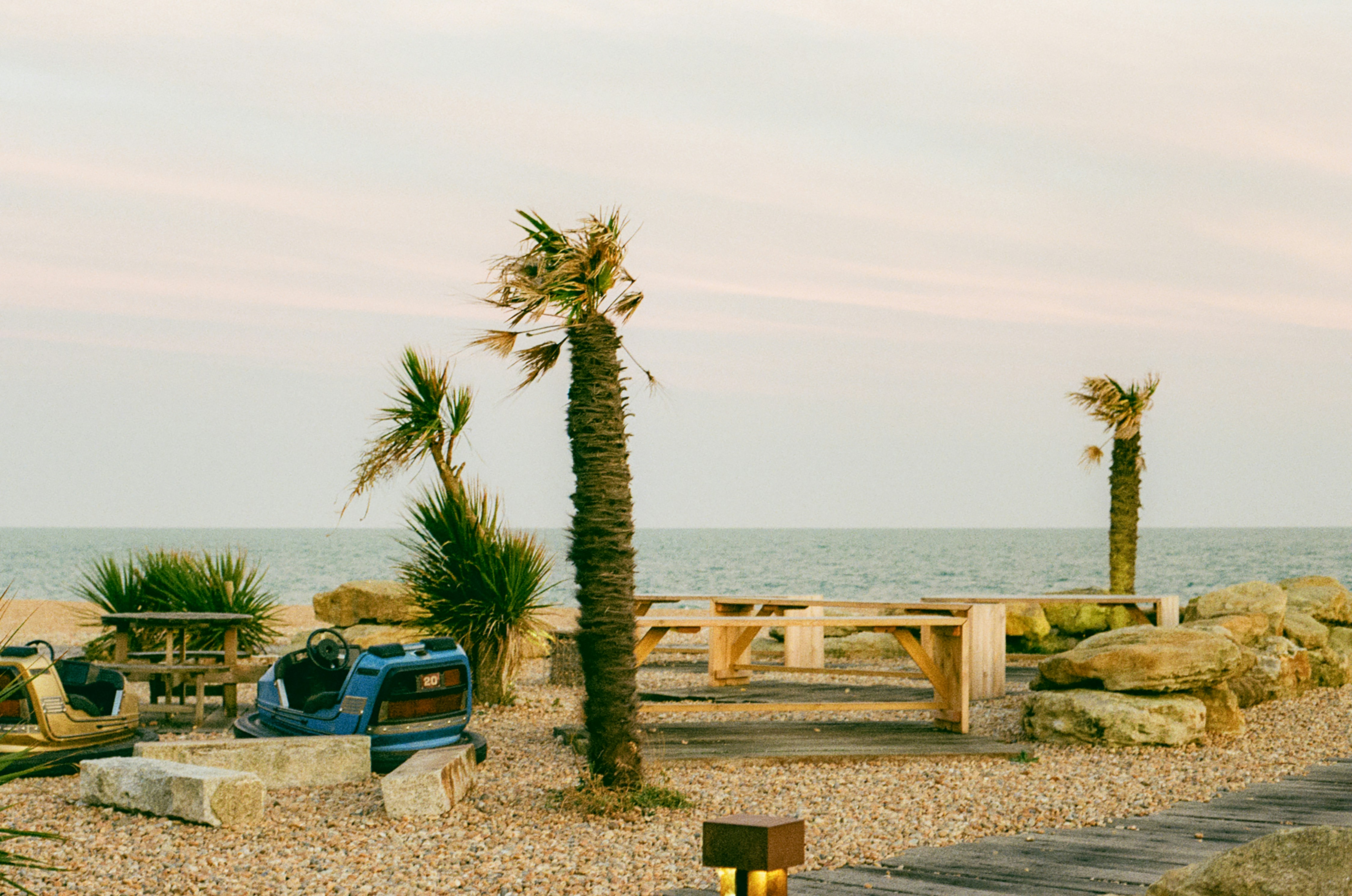 Bumper cars and wooden picnic tables on a pebble beach with palm trees