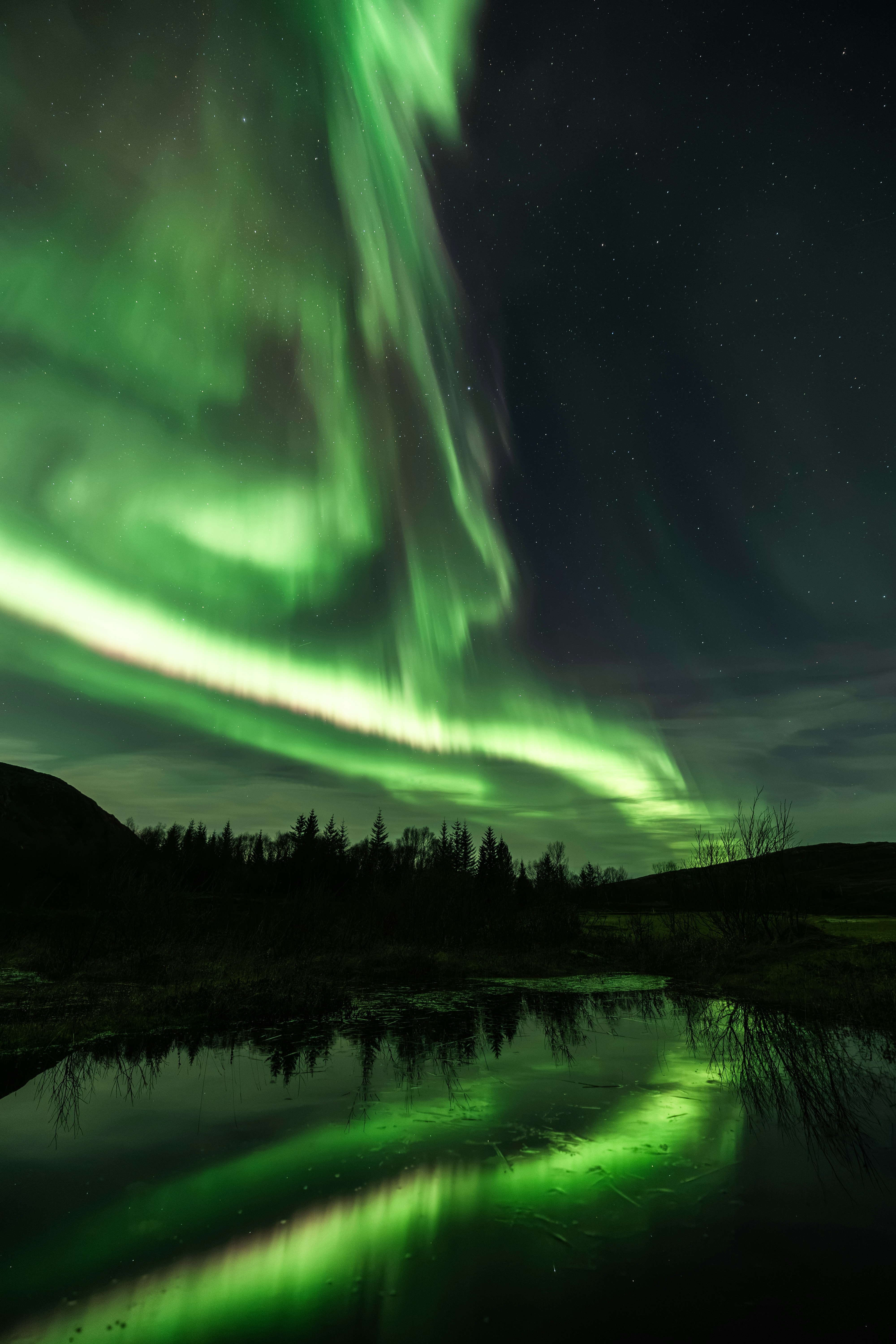 Green aurora borealis over dark pond - Free Photo on Unsplash