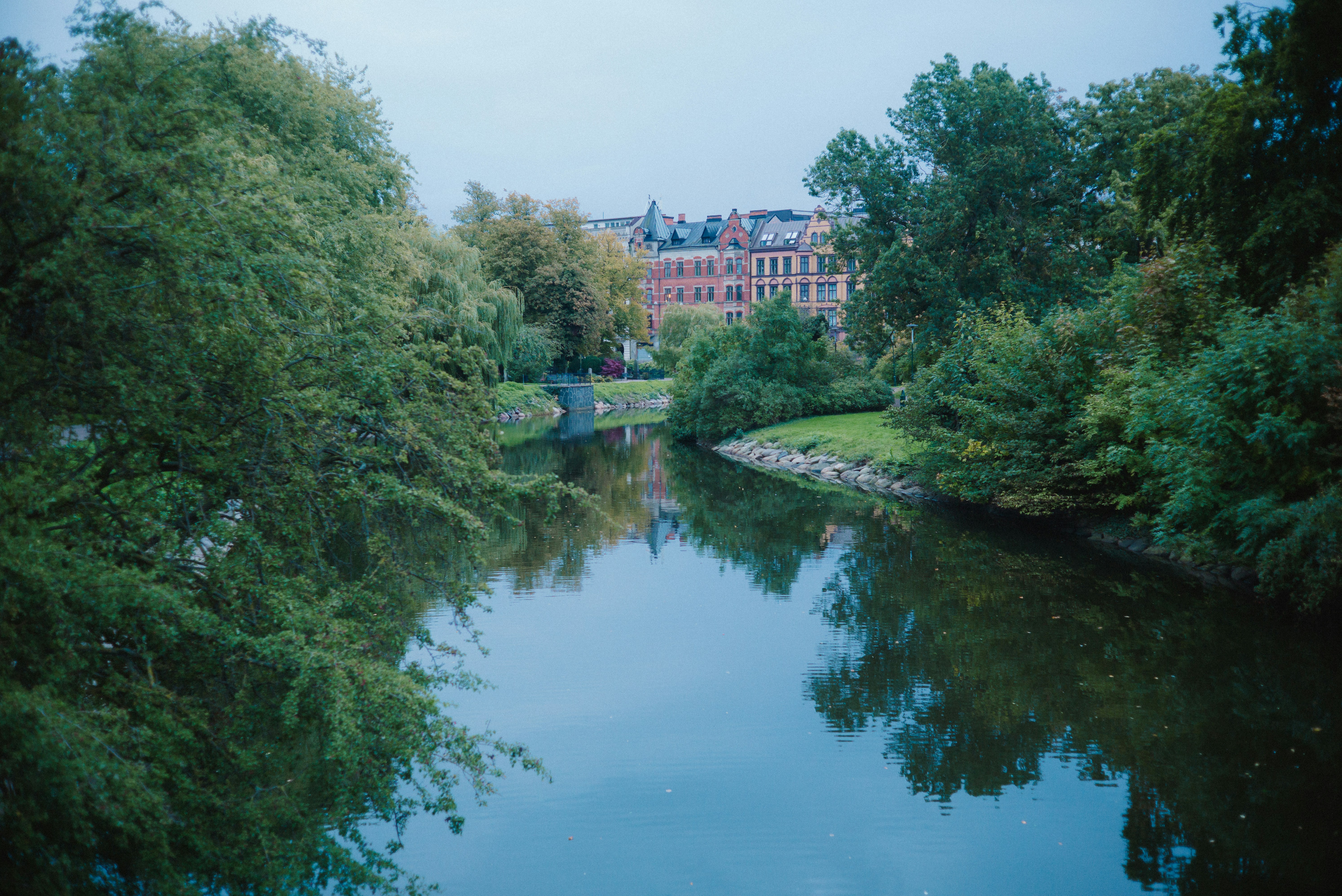 Árboles y edificios históricos que reflejan el río - Foto gratuita en ...