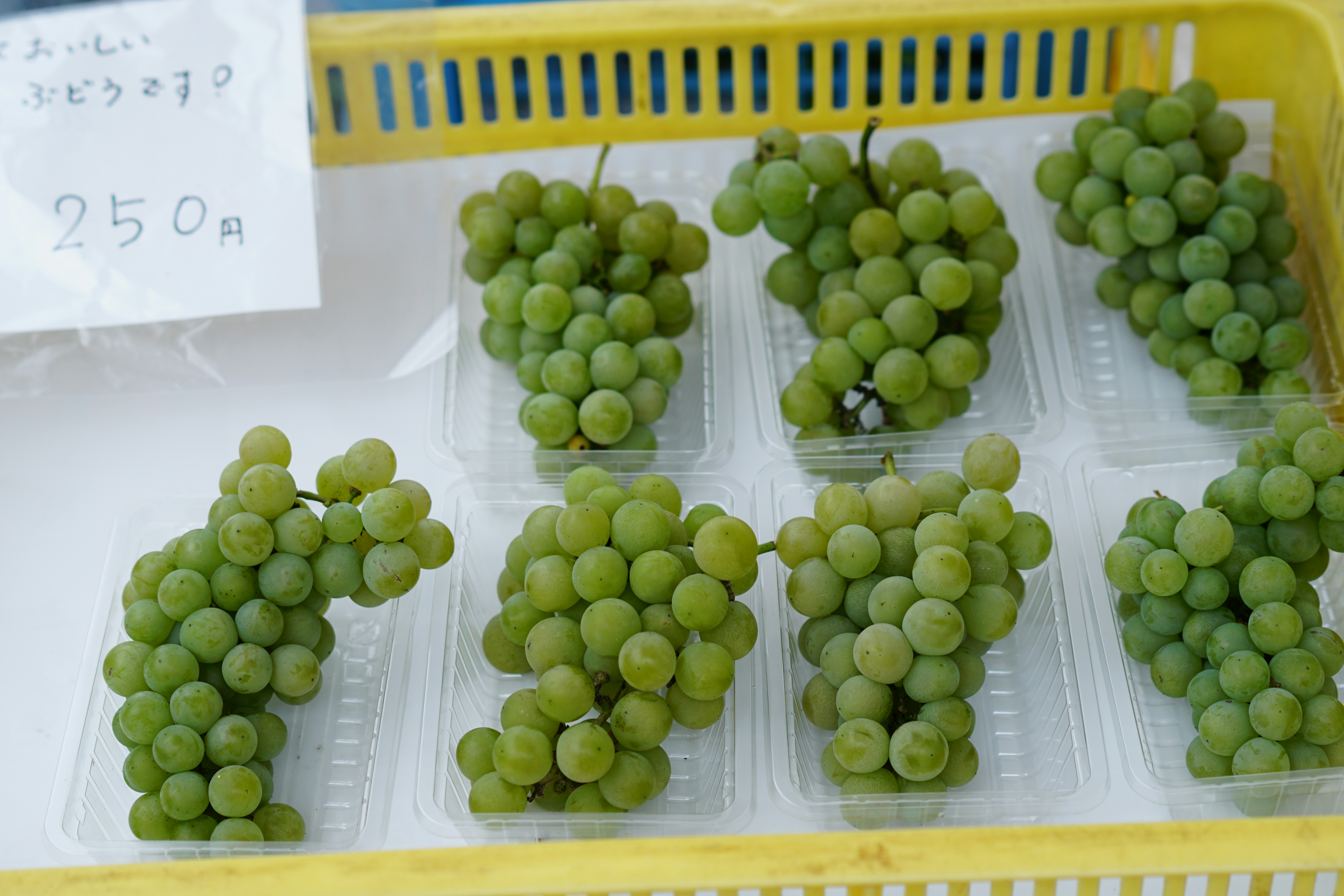 Green grapes in plastic containers - Free Photo on Unsplash