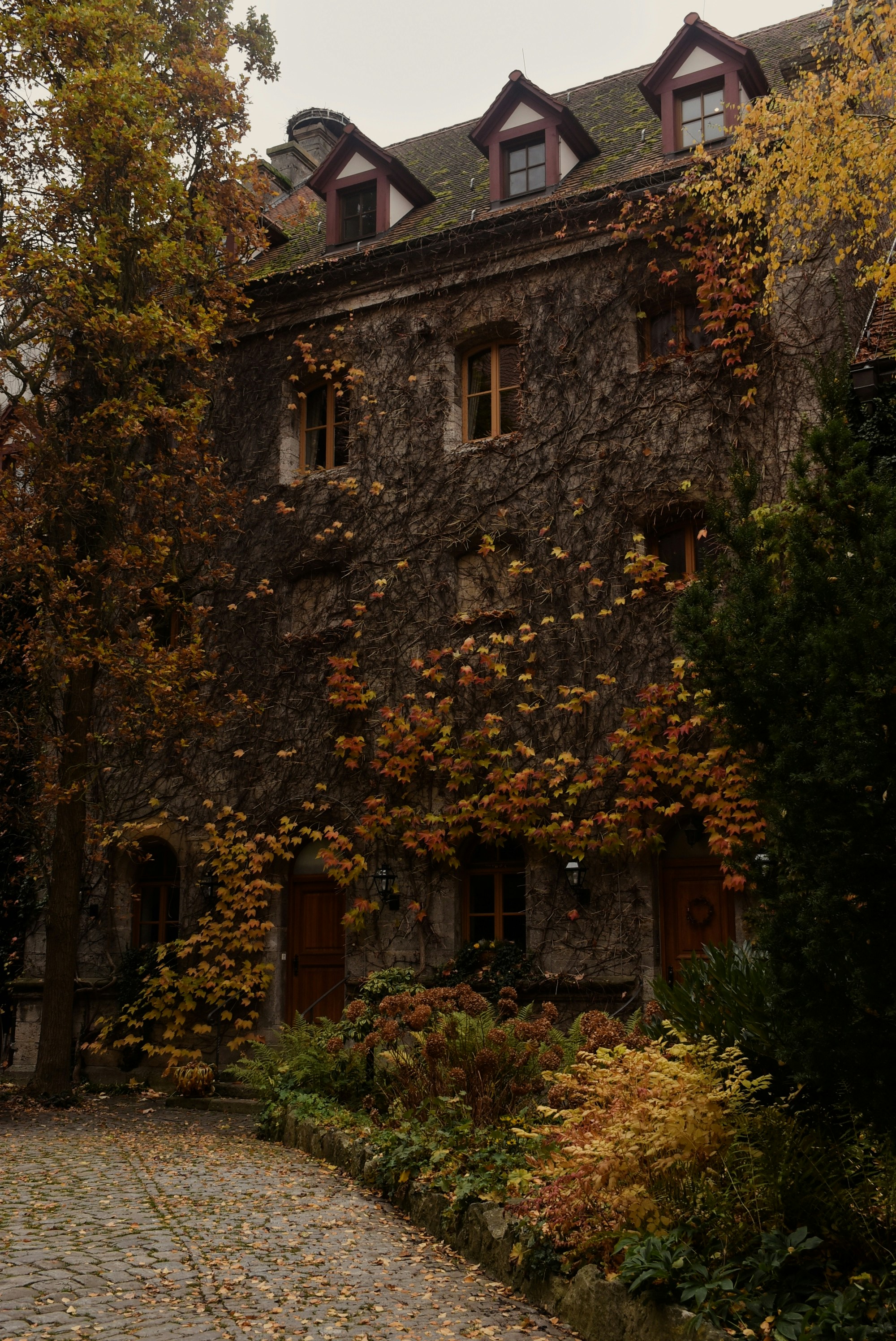 A stone building covered in autumn vines with wooden doors and windows in a garden - 相关推荐