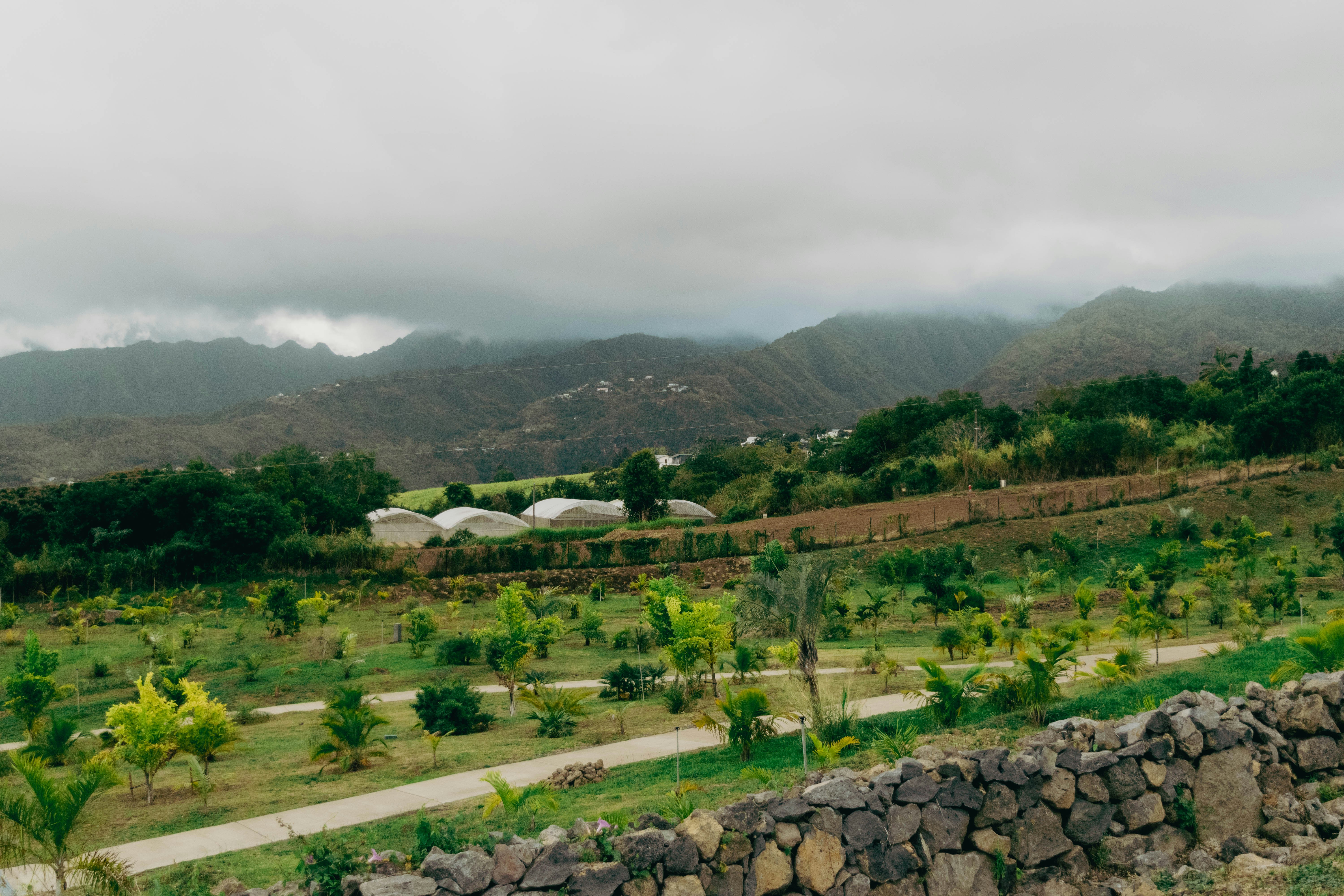 Stone wall in green mountain valley - Free Photo on Unsplash