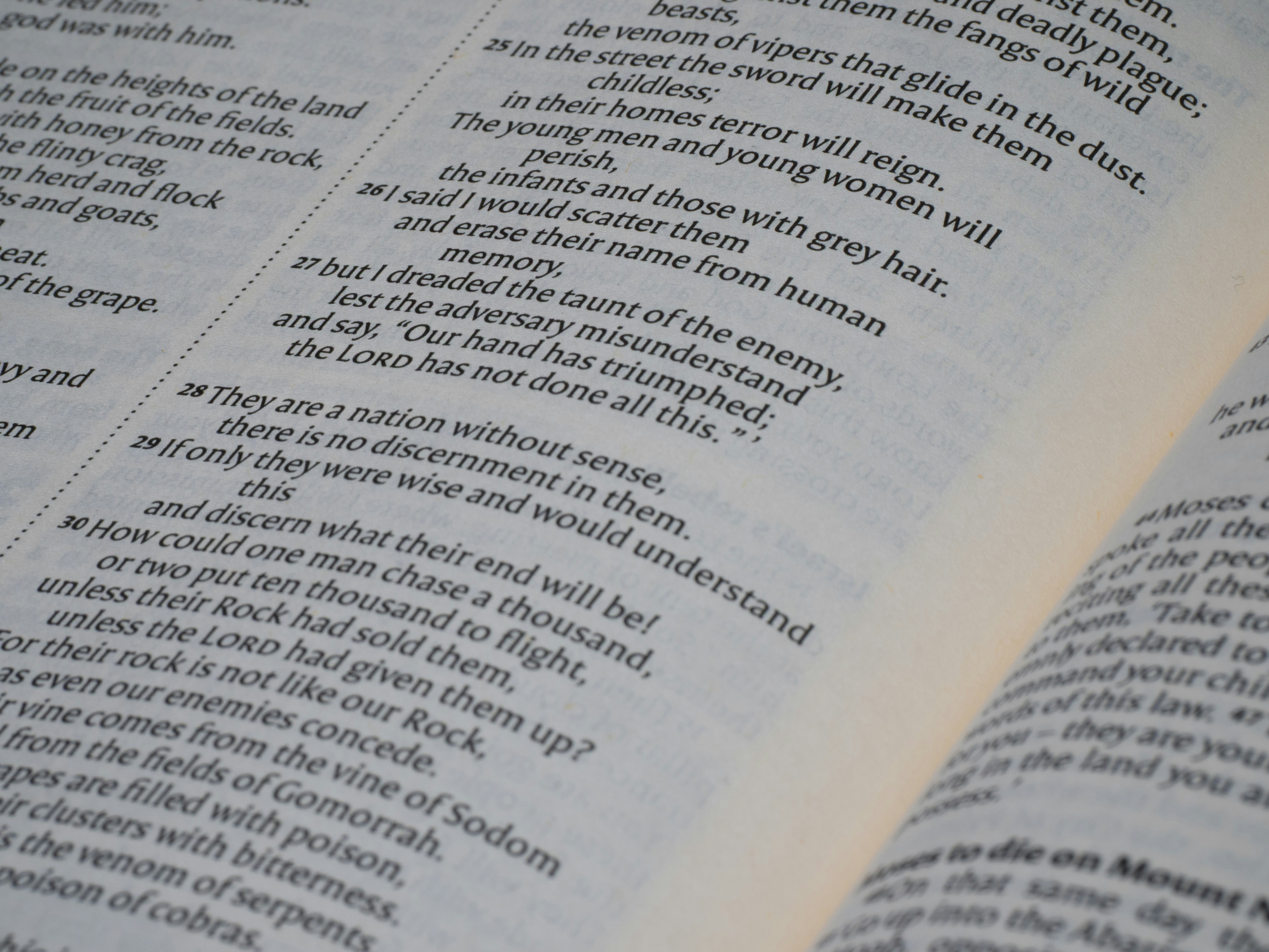 Printed text on book page - Free Photo on Unsplash