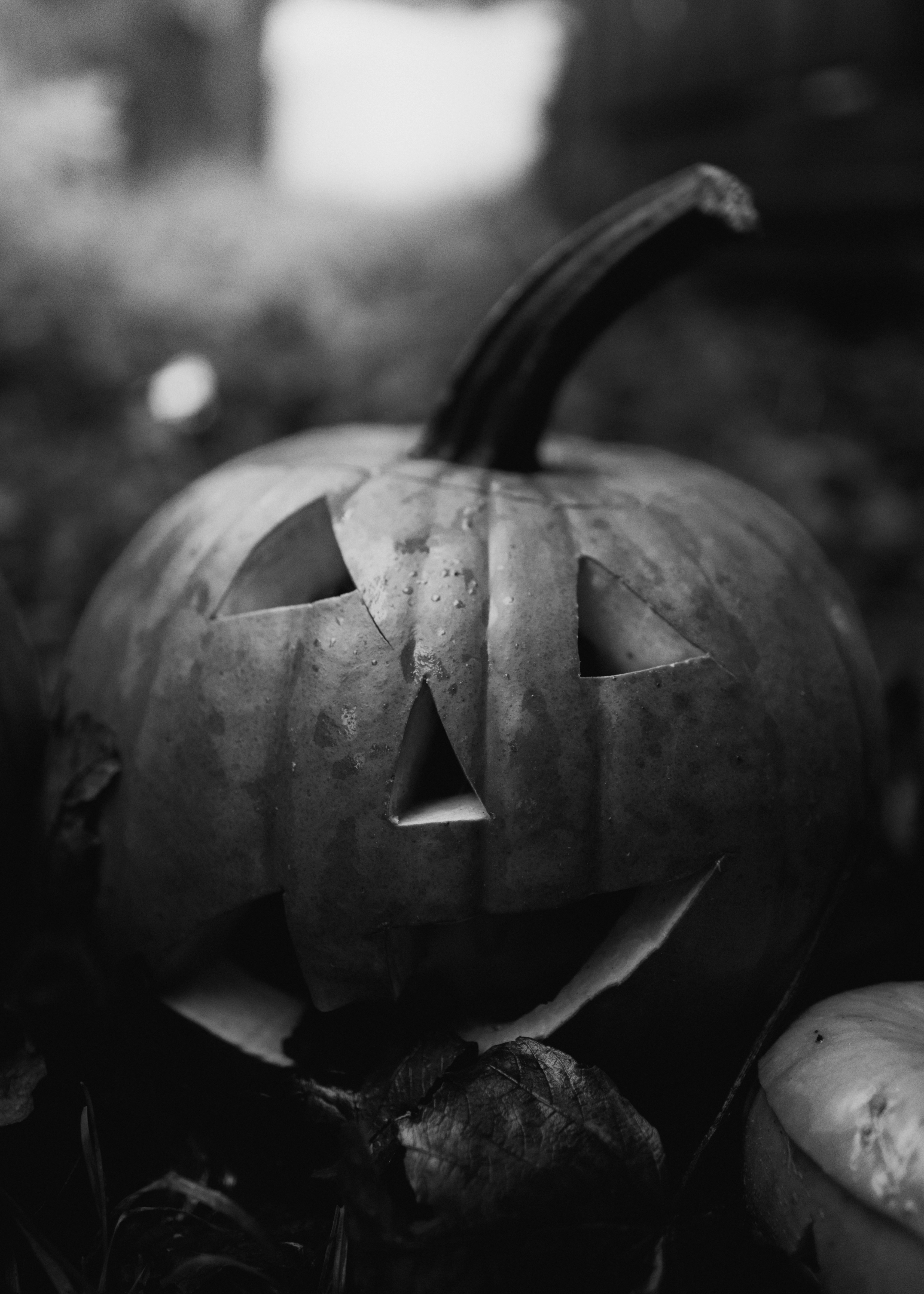 A carved jack o lantern with a smiling face on the ground