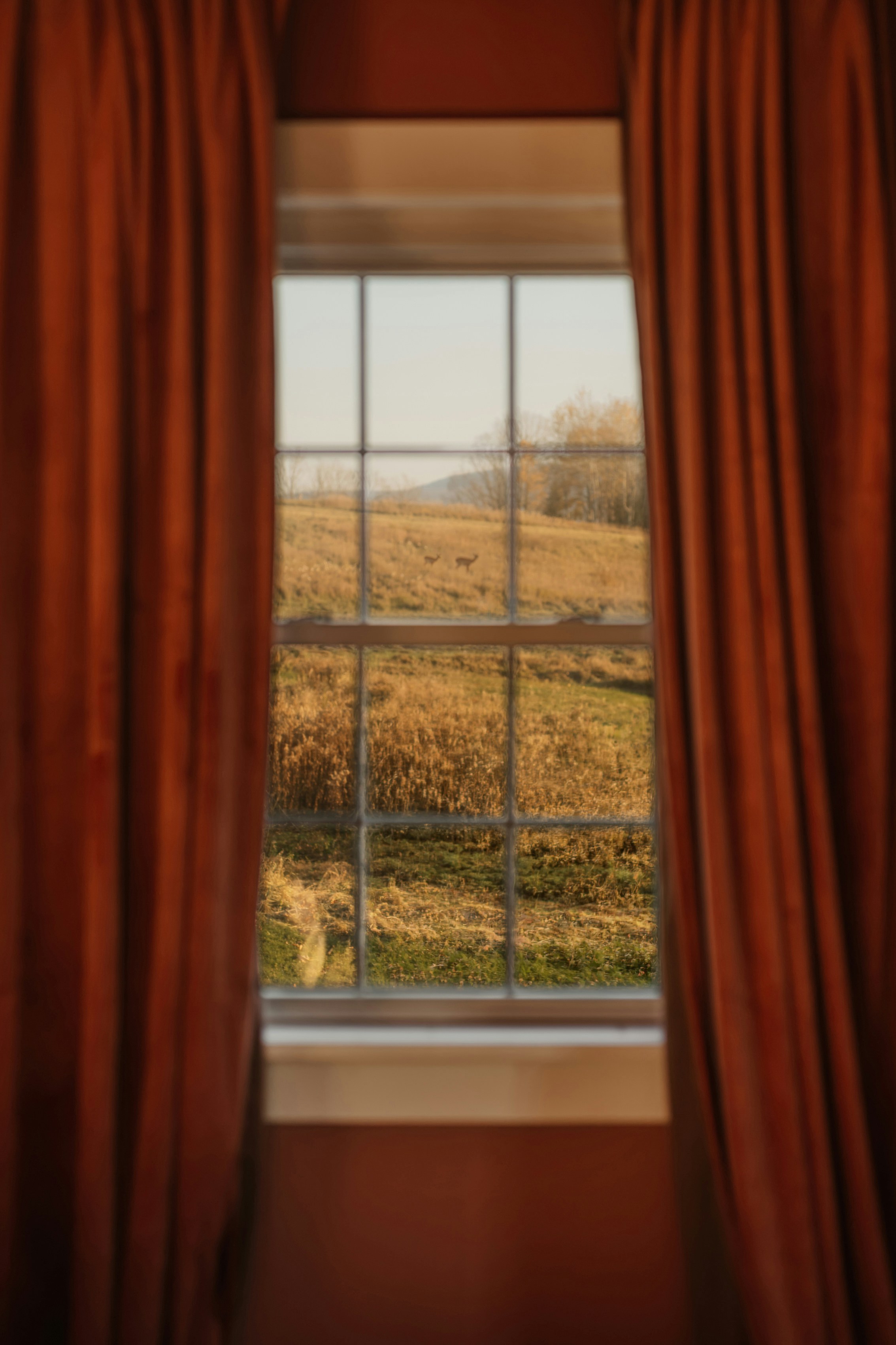 Room with a view (IG @clay.banks) - 相关推荐