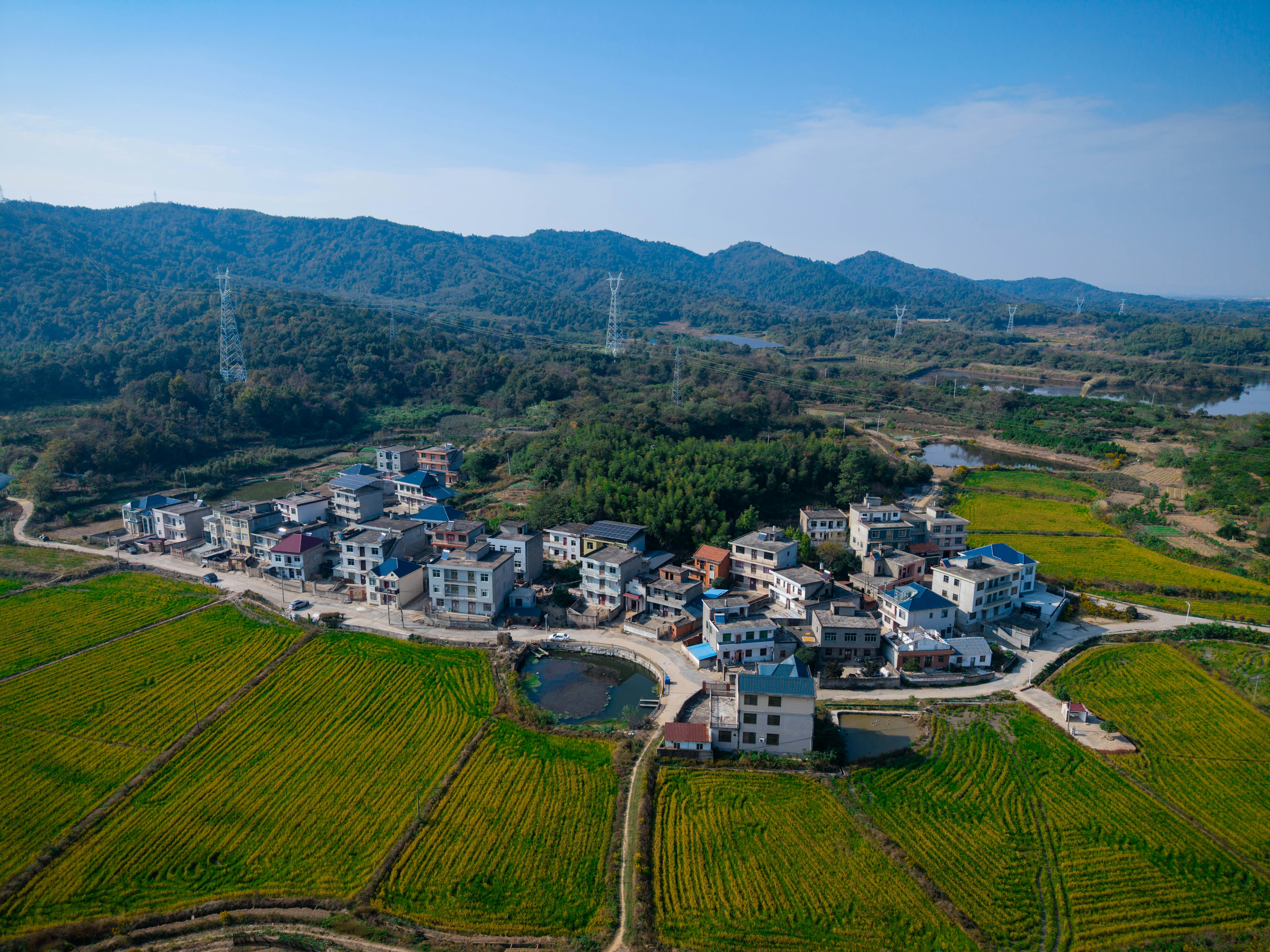 Village surrounded by green rice fields - Free Photo on Unsplash