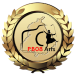 Avatar of user PB08 Arts