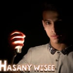 Avatar of user hasany wise