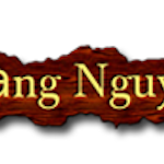 Avatar of user trangnguyen trang