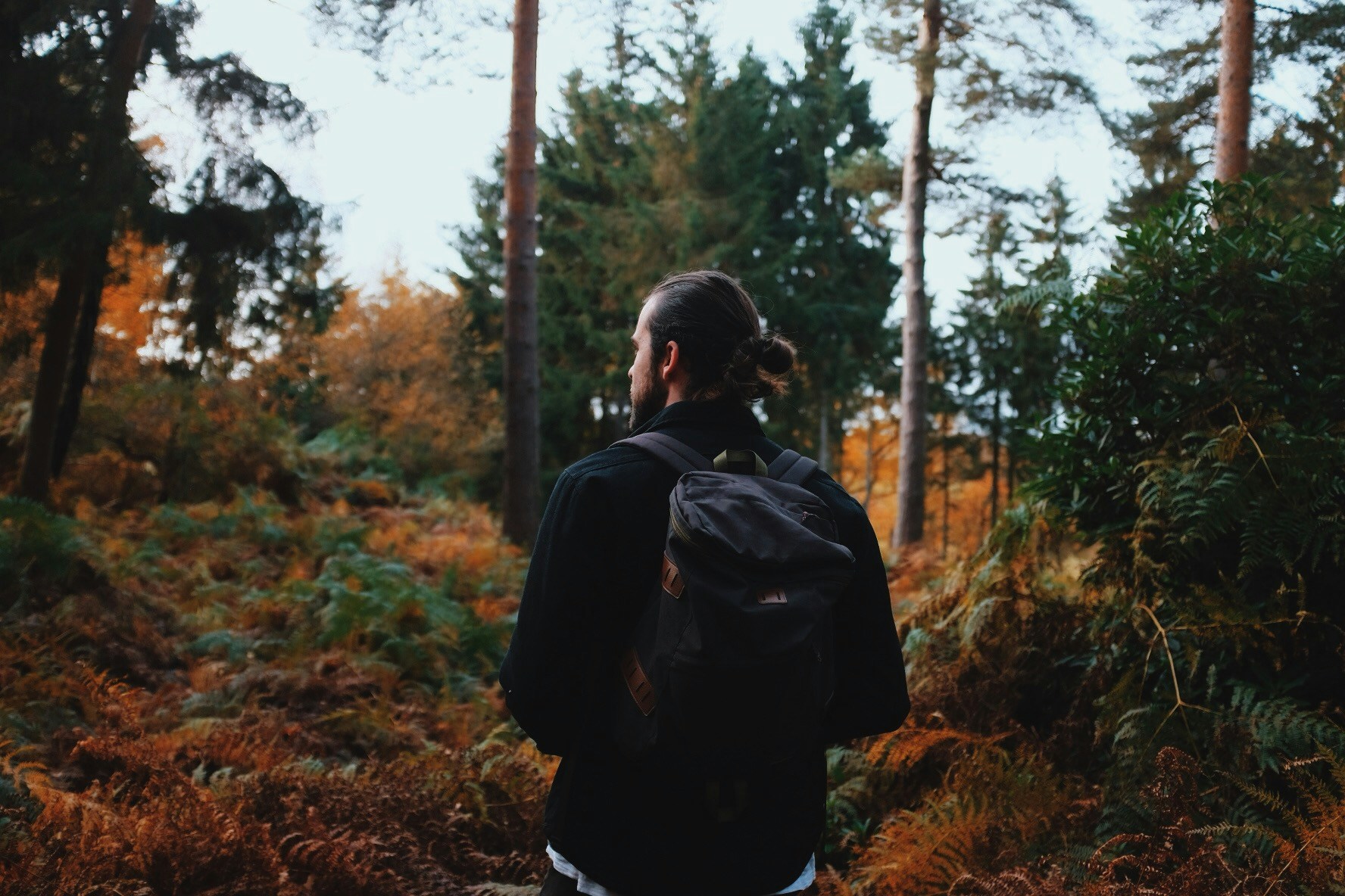 Go to Tom Allport's profile