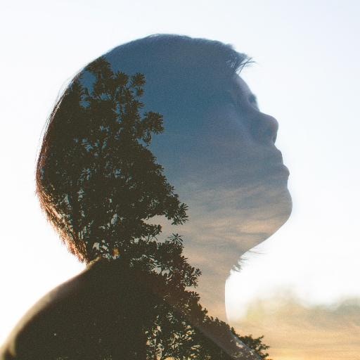 Go to Linda Xu's profile