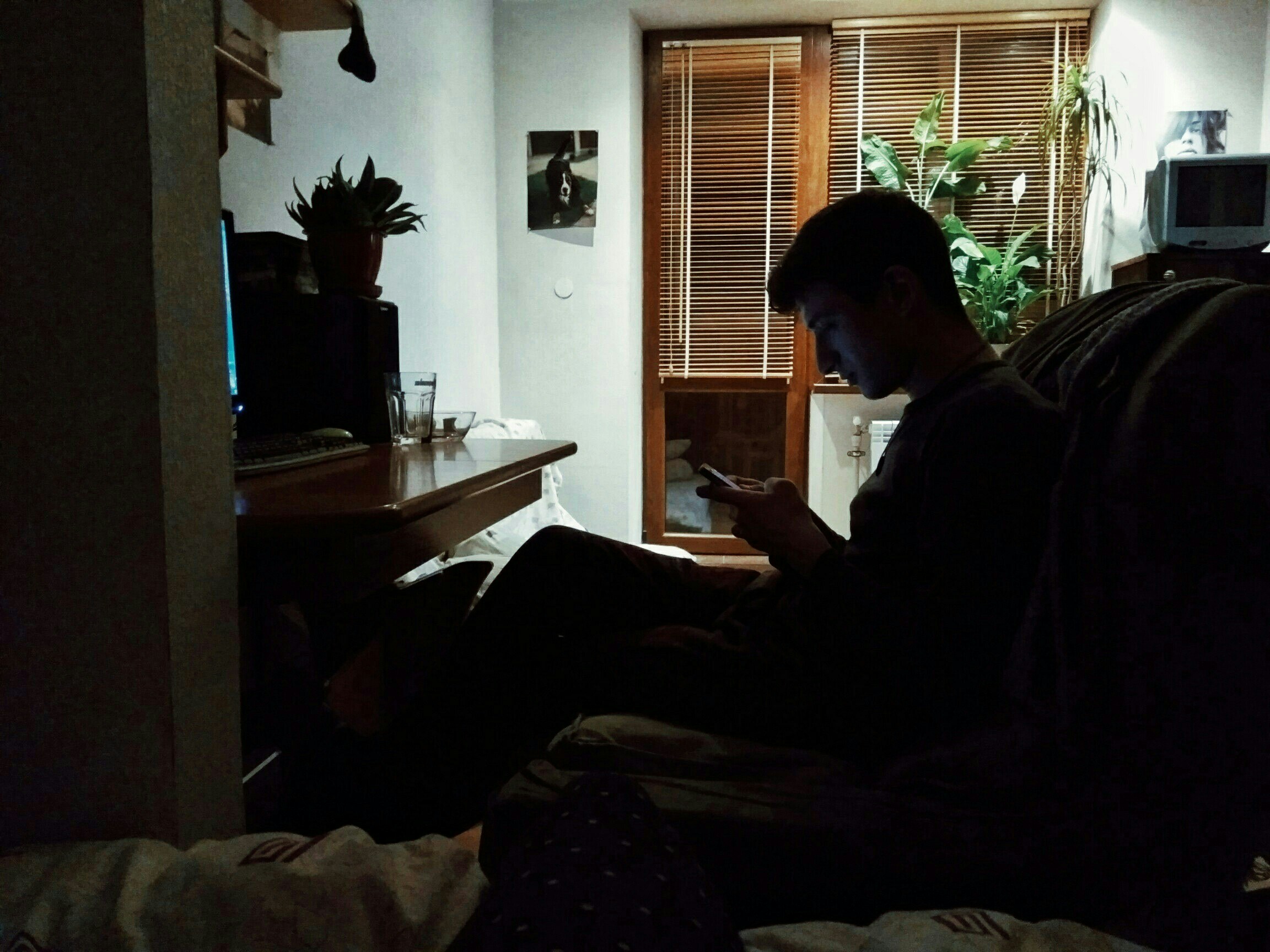 Avatar of user Mykhailo Albaiev
