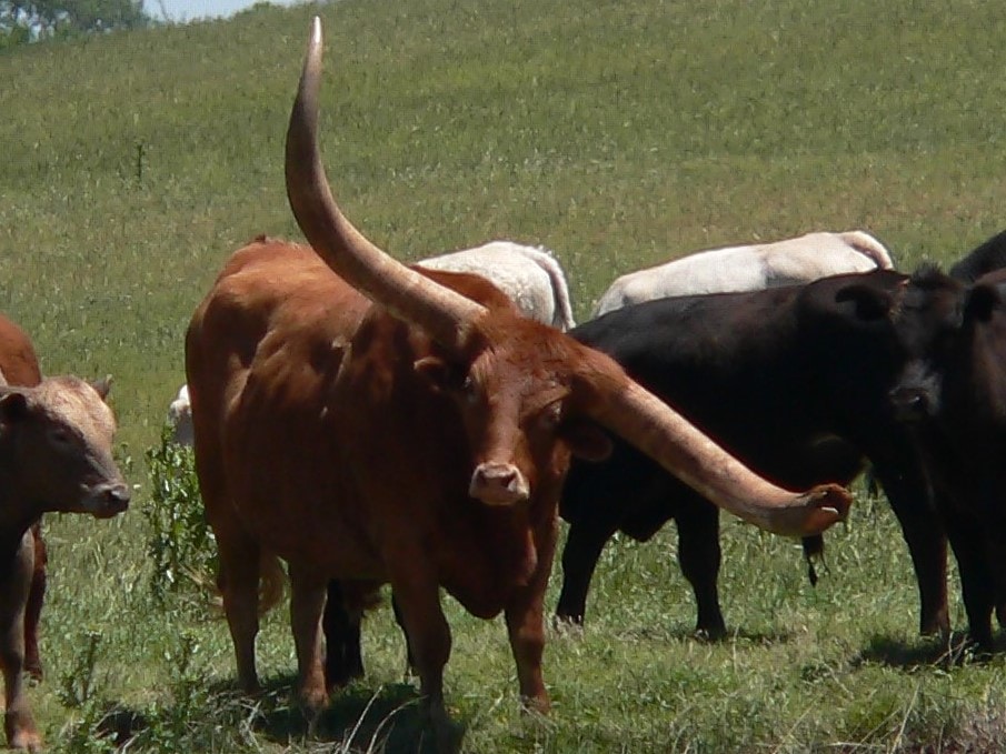 Go to Shira Michael's profile