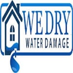 Avatar of user wedry water