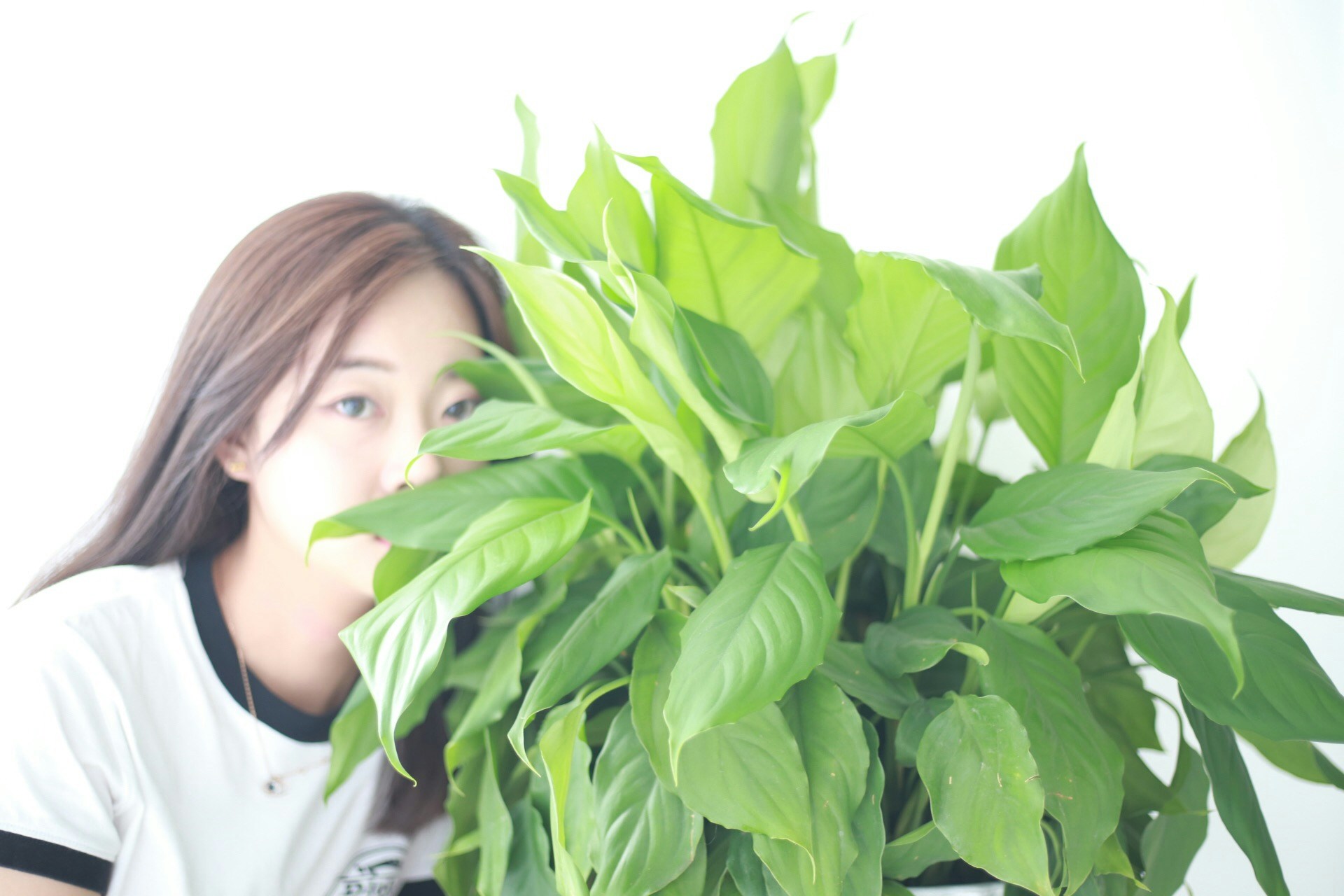 zhang Mickeyのプロフィールを見る