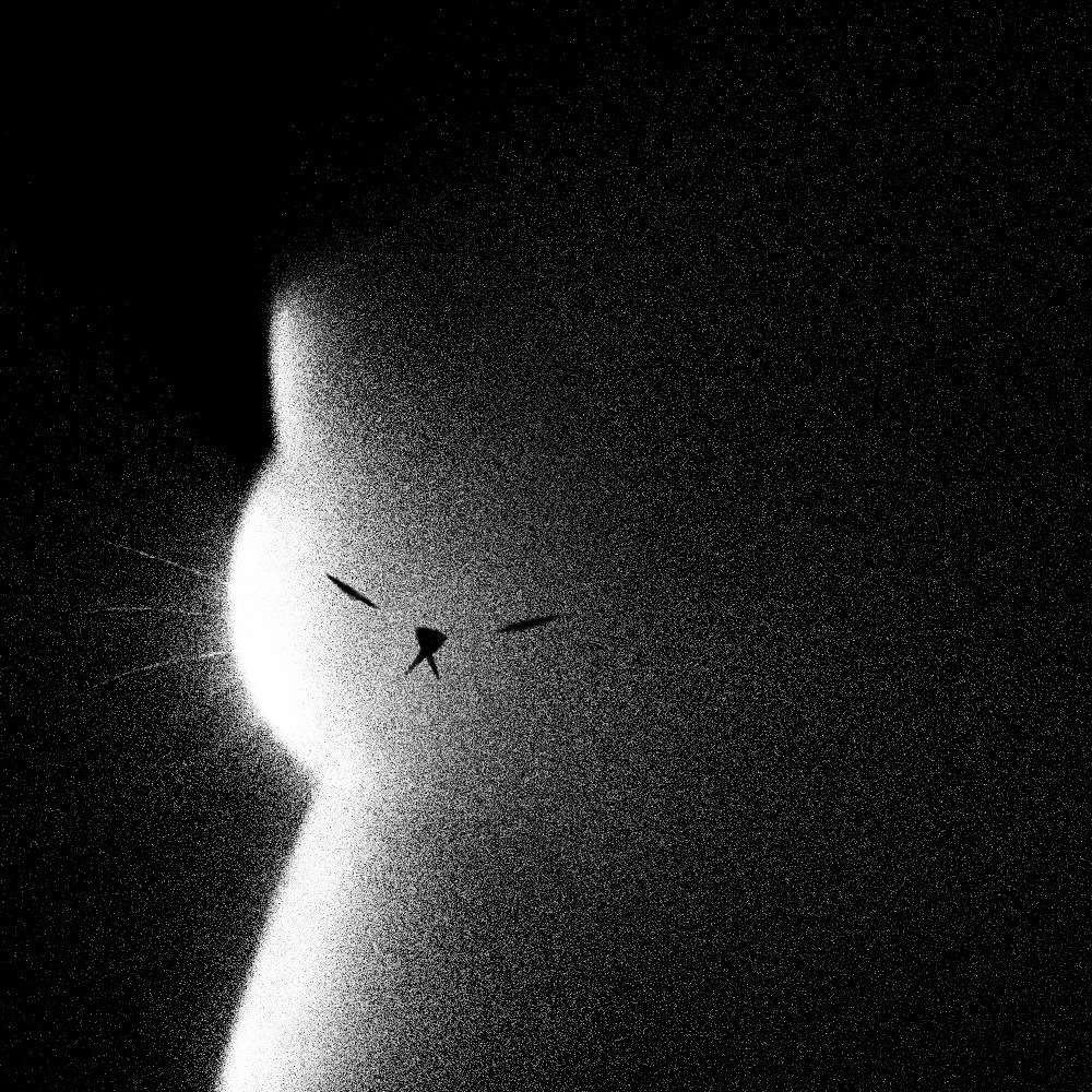 Go to channnngma's profile