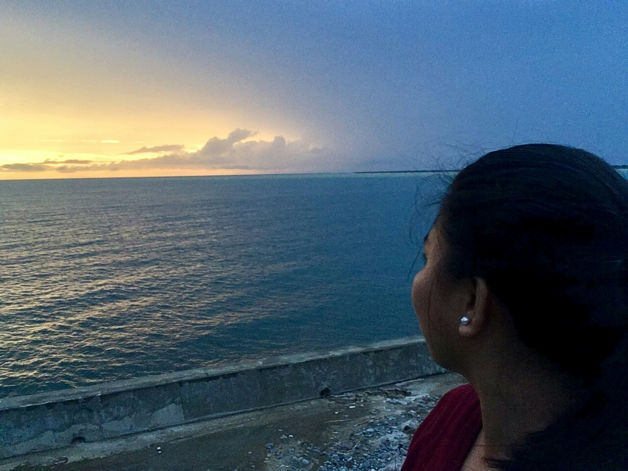Go to Nerissa Ripani's profile