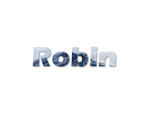 Avatar of user Robin Dum