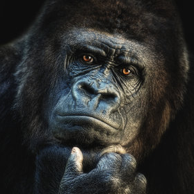 Go to Peng Chen's profile