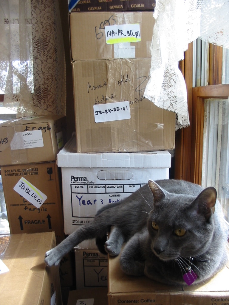 Go to Jennifer R.'s profile