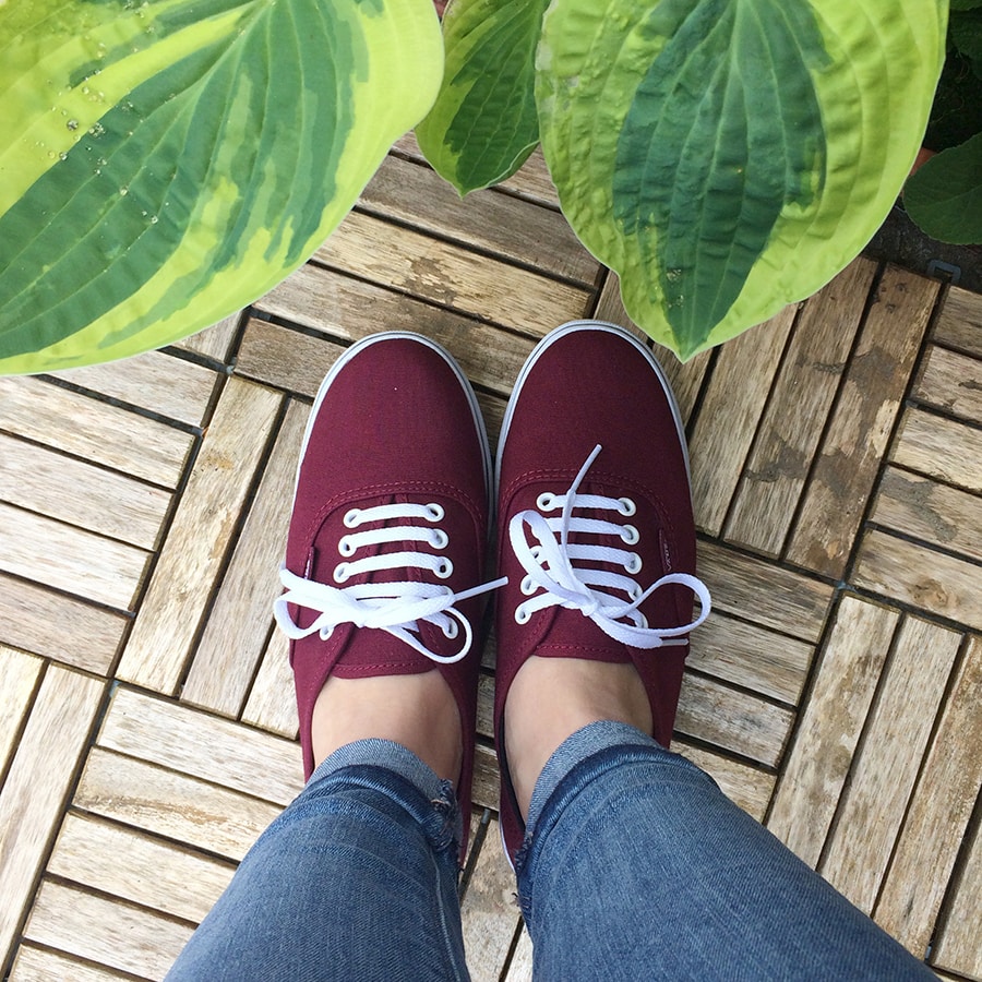 Vai al profilo di Amy Hamerly