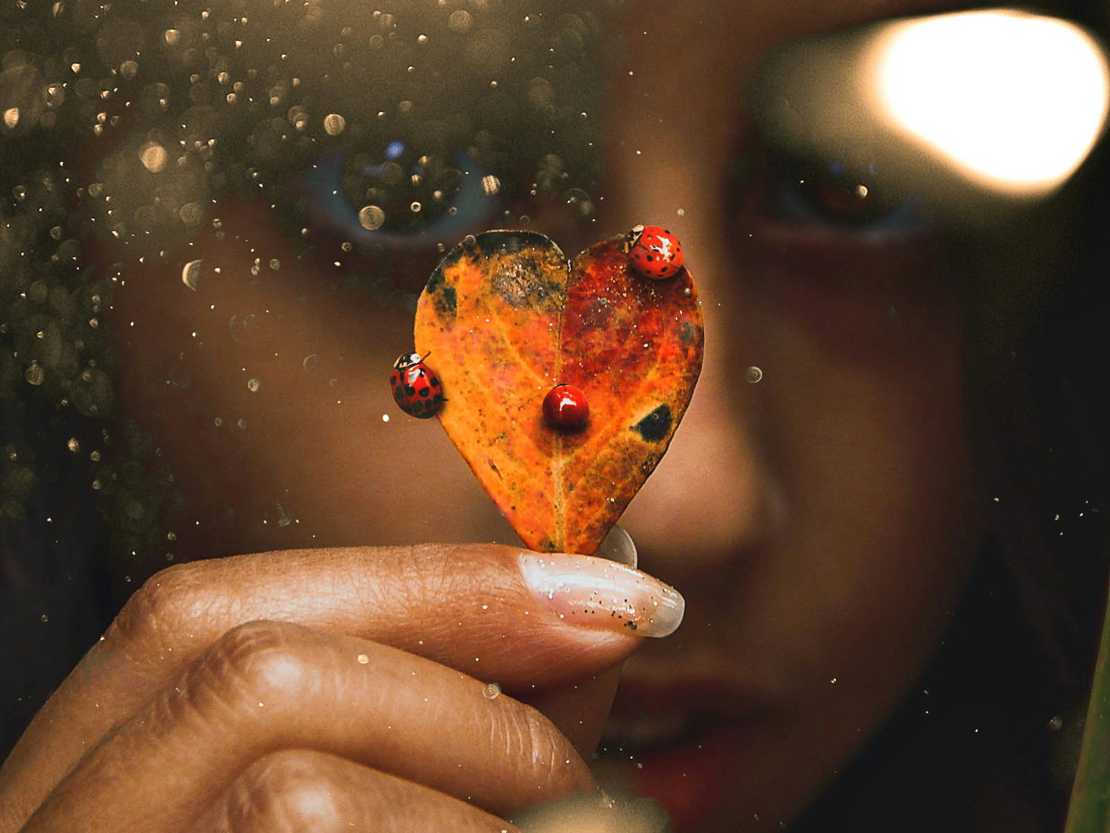 Go to Brina Boyle's profile