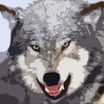 Avatar of user Wolf Lone