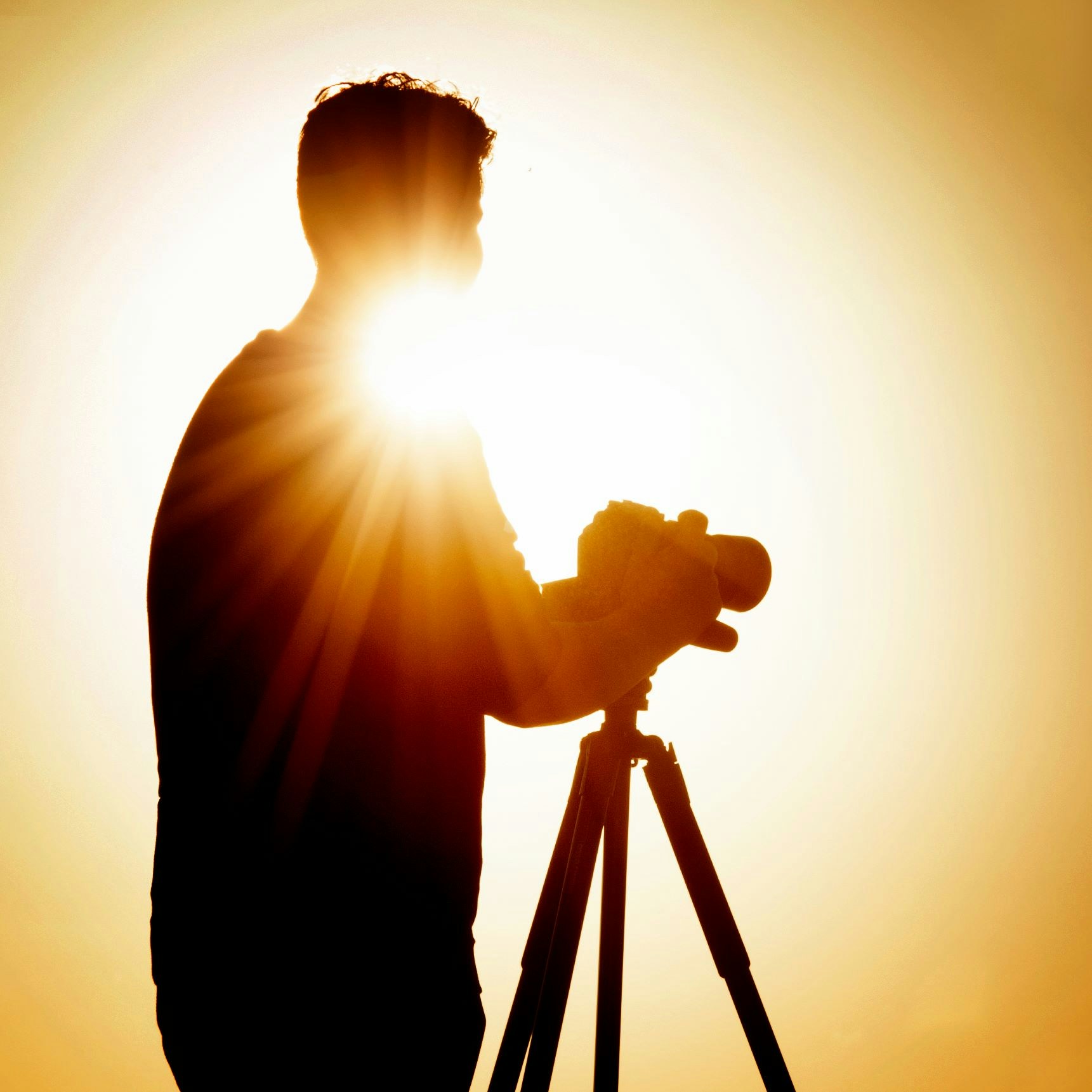 Brandon Compagneのプロフィールを見る