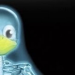 Go to Julien Andrieux's profile