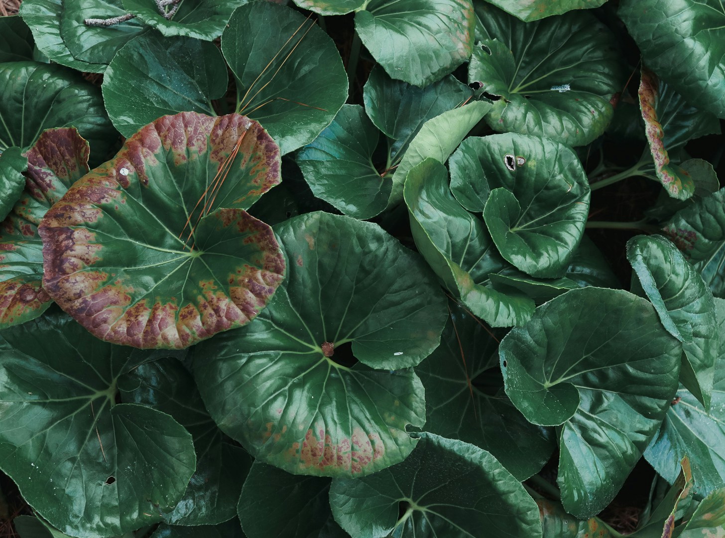 Go to Jamie Waynick's profile