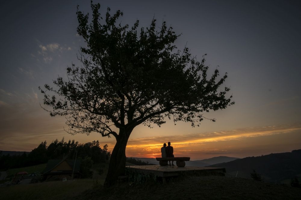 Go to Paul's profile