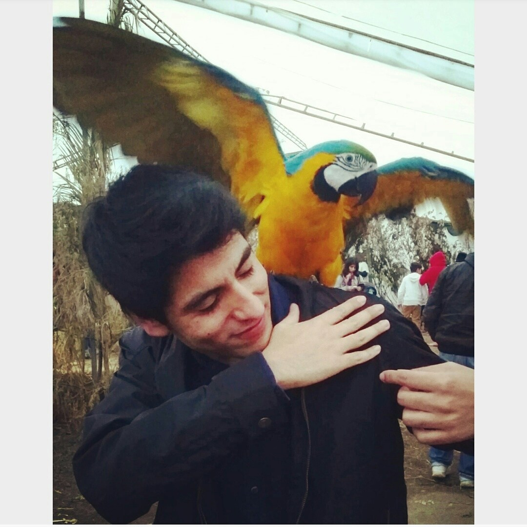 Avatar del usuario Glen Alejandro