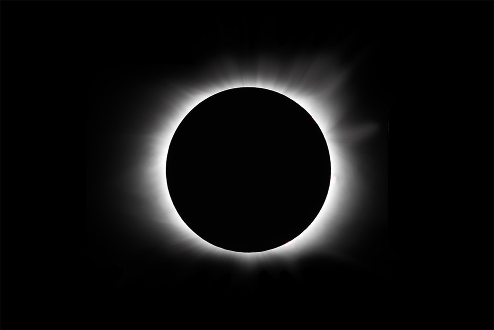 Ir para o perfil de Laura Skinner