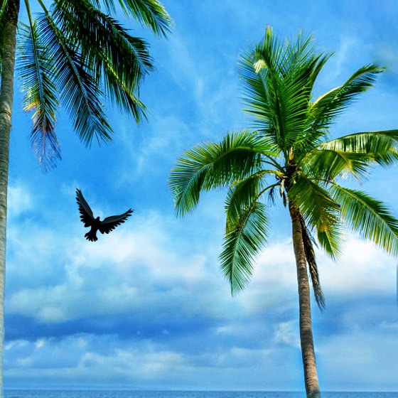 Jamez Picardのプロフィールを見る