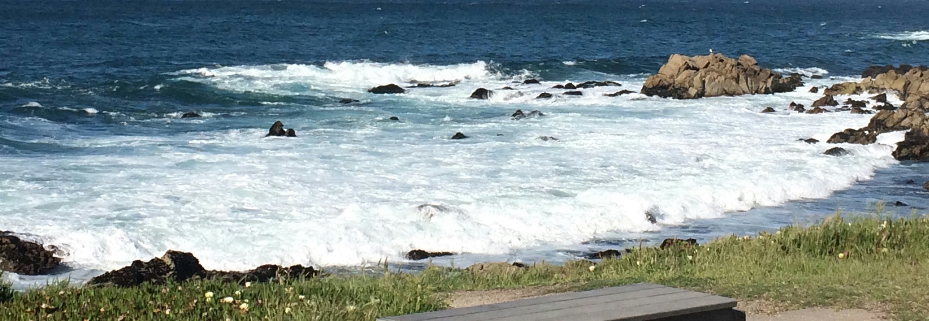 Avatar of user Younga Machorro