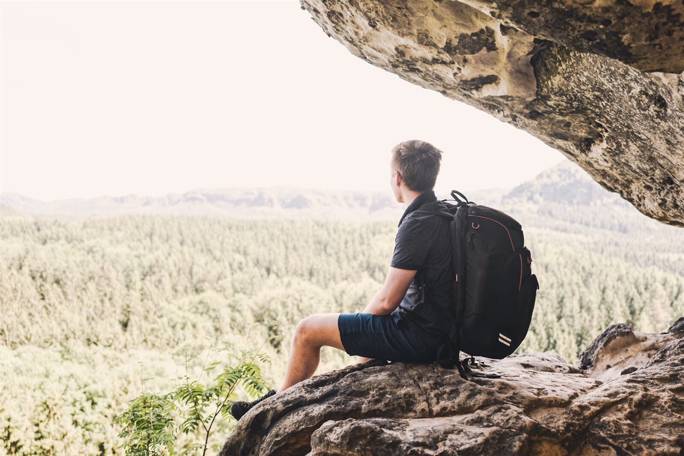 Go to Niklas Siemens's profile